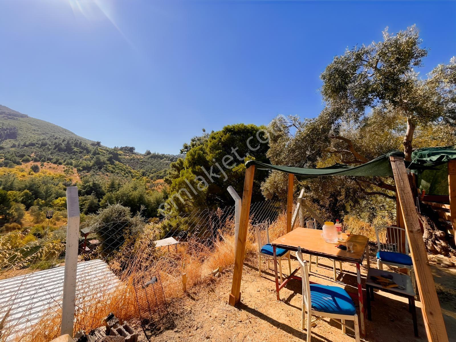 Kemalpaşa Yukarıkızılca Satılık 446 M2 Bahçe — fotoğraf 7