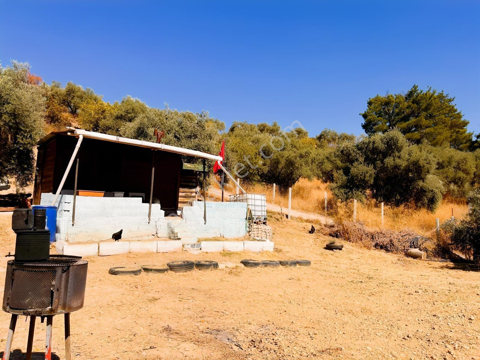 Kemalpaşa Yukarıkızılca Satılık 446 M2 Bahçe — fotoğraf 8