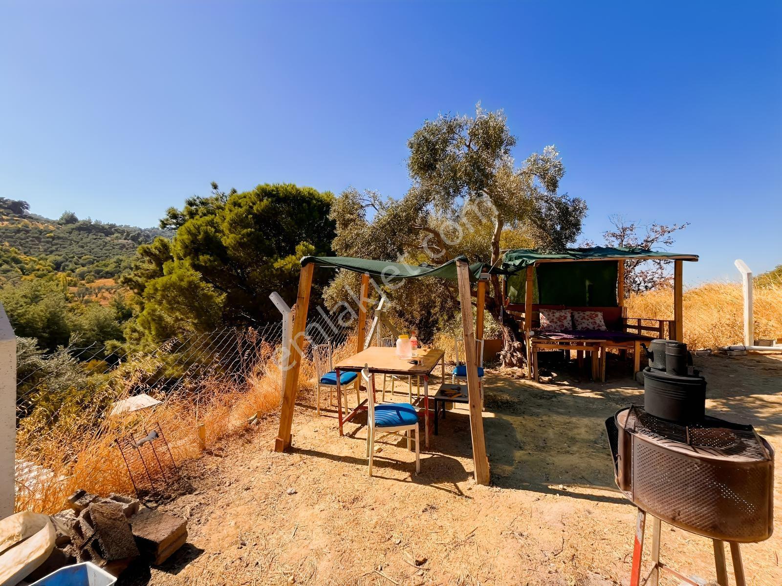Kemalpaşa Yukarıkızılca Satılık 446 M2 Bahçe — fotoğraf 9
