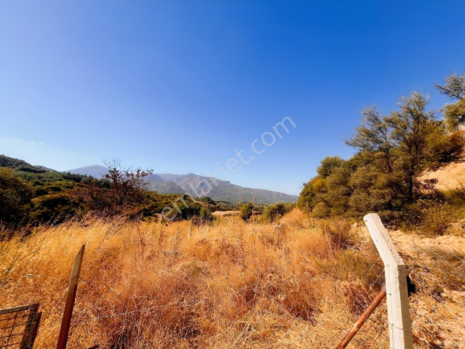 Kemalpaşa Yukarıkızılca Satılık 446 M2 Bahçe — fotoğraf 10