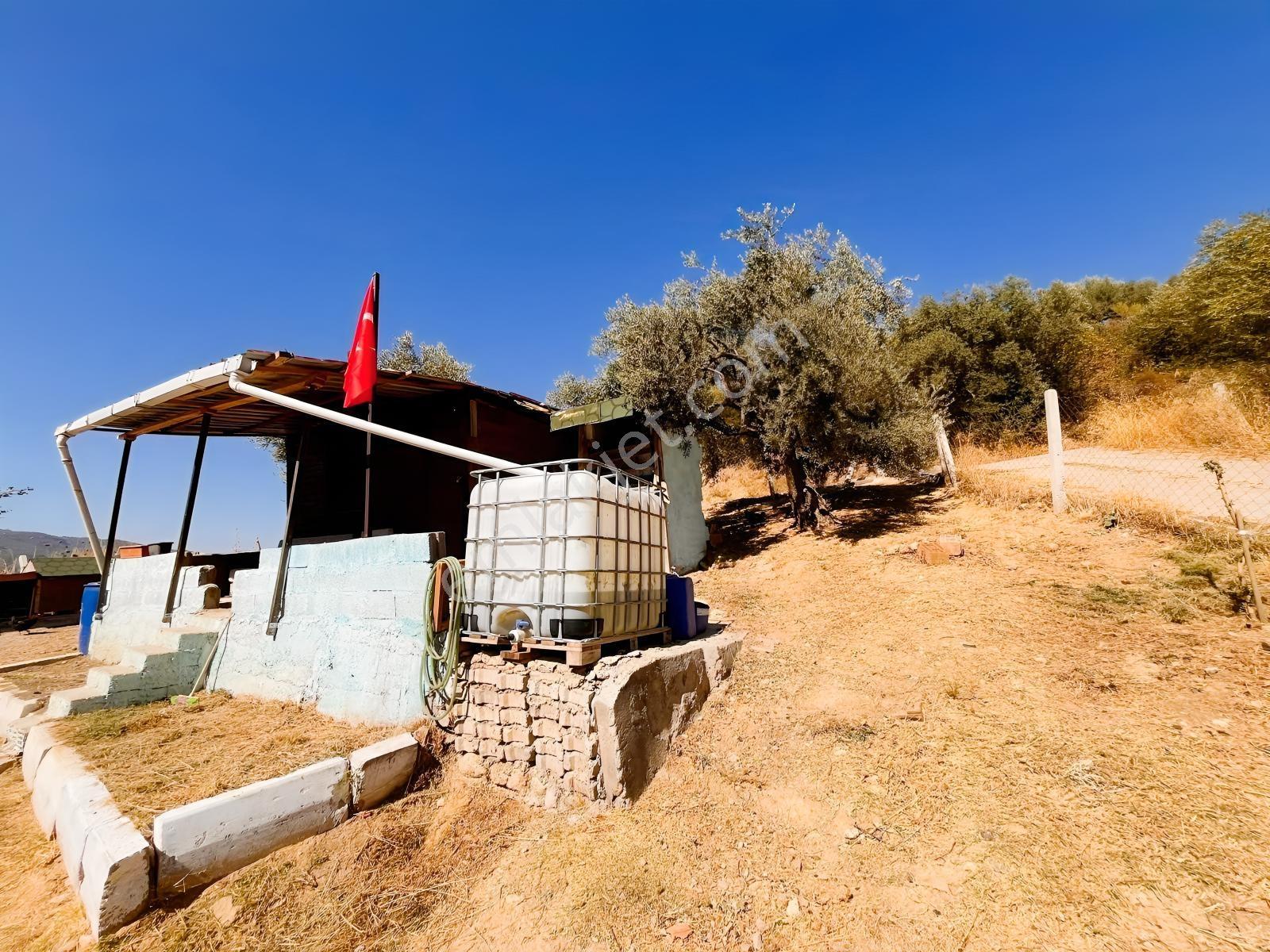 Kemalpaşa Yukarıkızılca Satılık 446 M2 Bahçe — fotoğraf 11