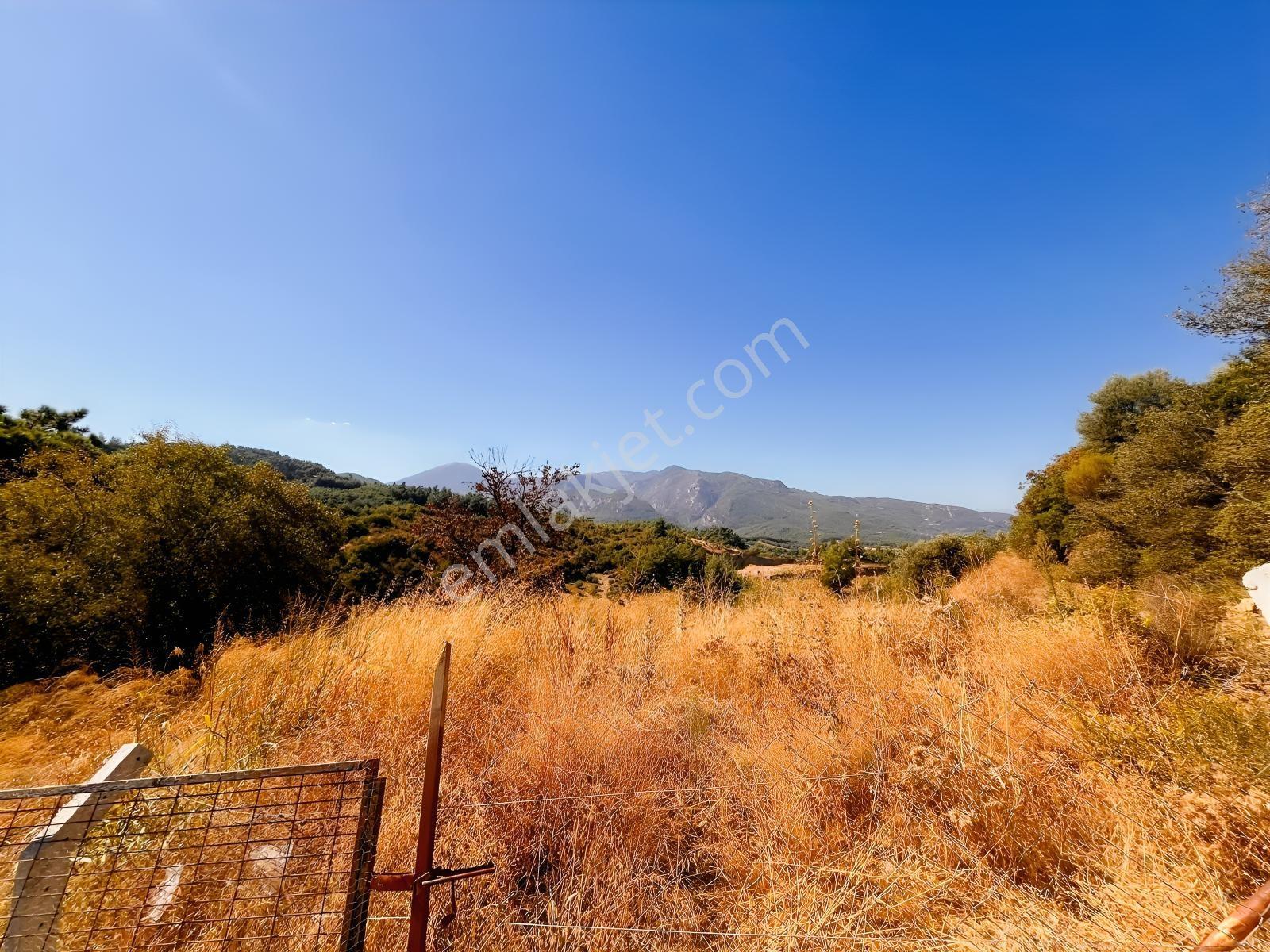 Kemalpaşa Yukarıkızılca Satılık 446 M2 Bahçe — fotoğraf 12