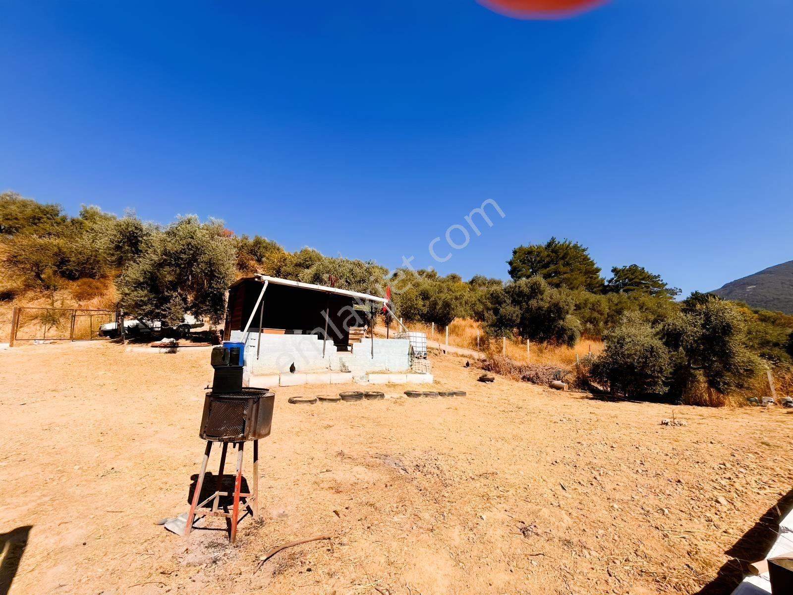 Kemalpaşa Yukarıkızılca Satılık 446 M2 Bahçe — fotoğraf 13