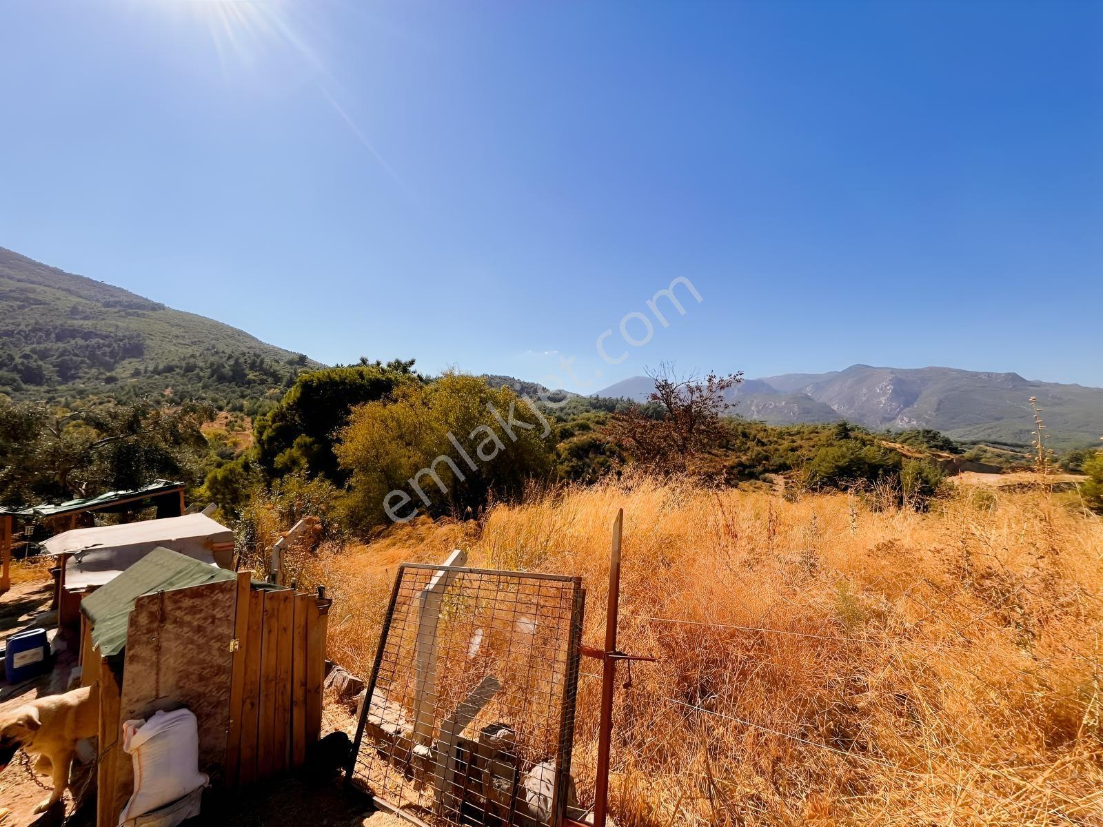 Kemalpaşa Yukarıkızılca Satılık 446 M2 Bahçe — fotoğraf 14