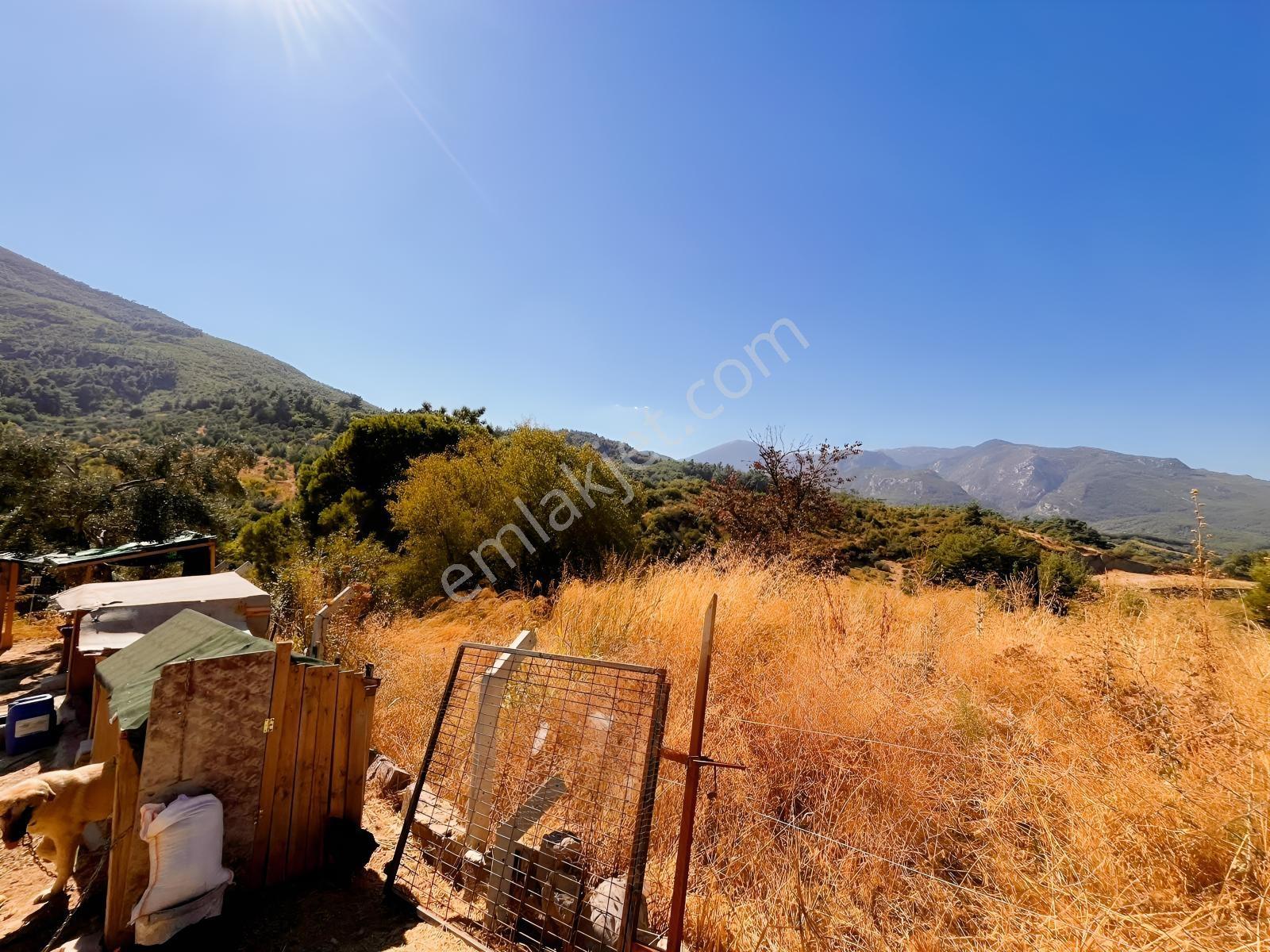 Kemalpaşa Yukarıkızılca Satılık 446 M2 Bahçe — fotoğraf 18