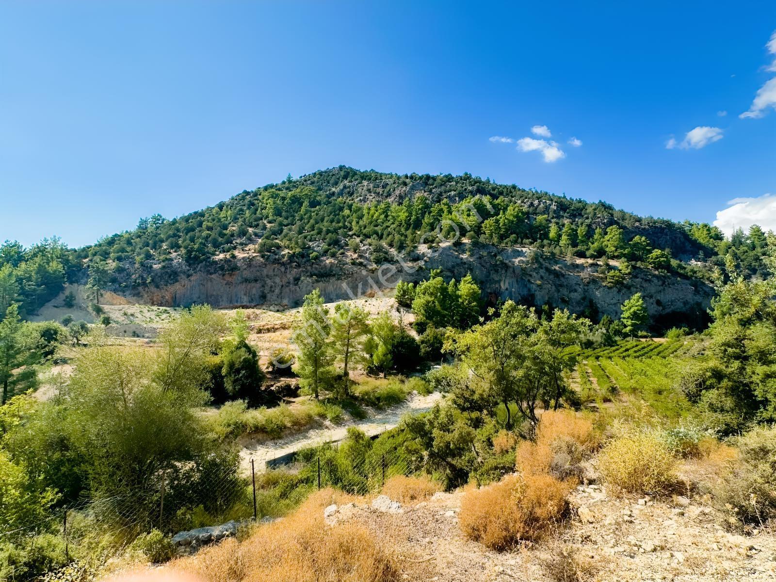 Antalya Manavgat Ahmetler Mahallesi Satılık Tek Tapu Tarla