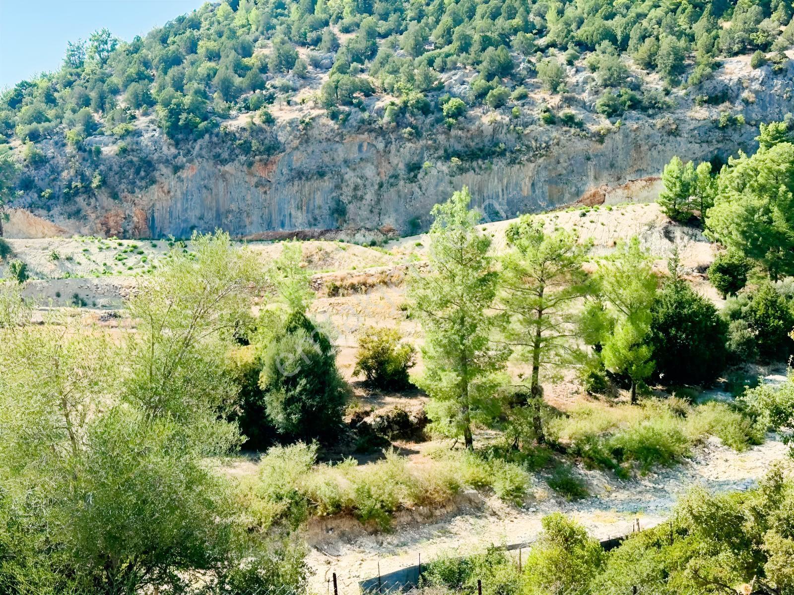 Antalya Manavgat Ahmetler Mahallesi Satılık Tek Tapu Tarla — fotoğraf 2