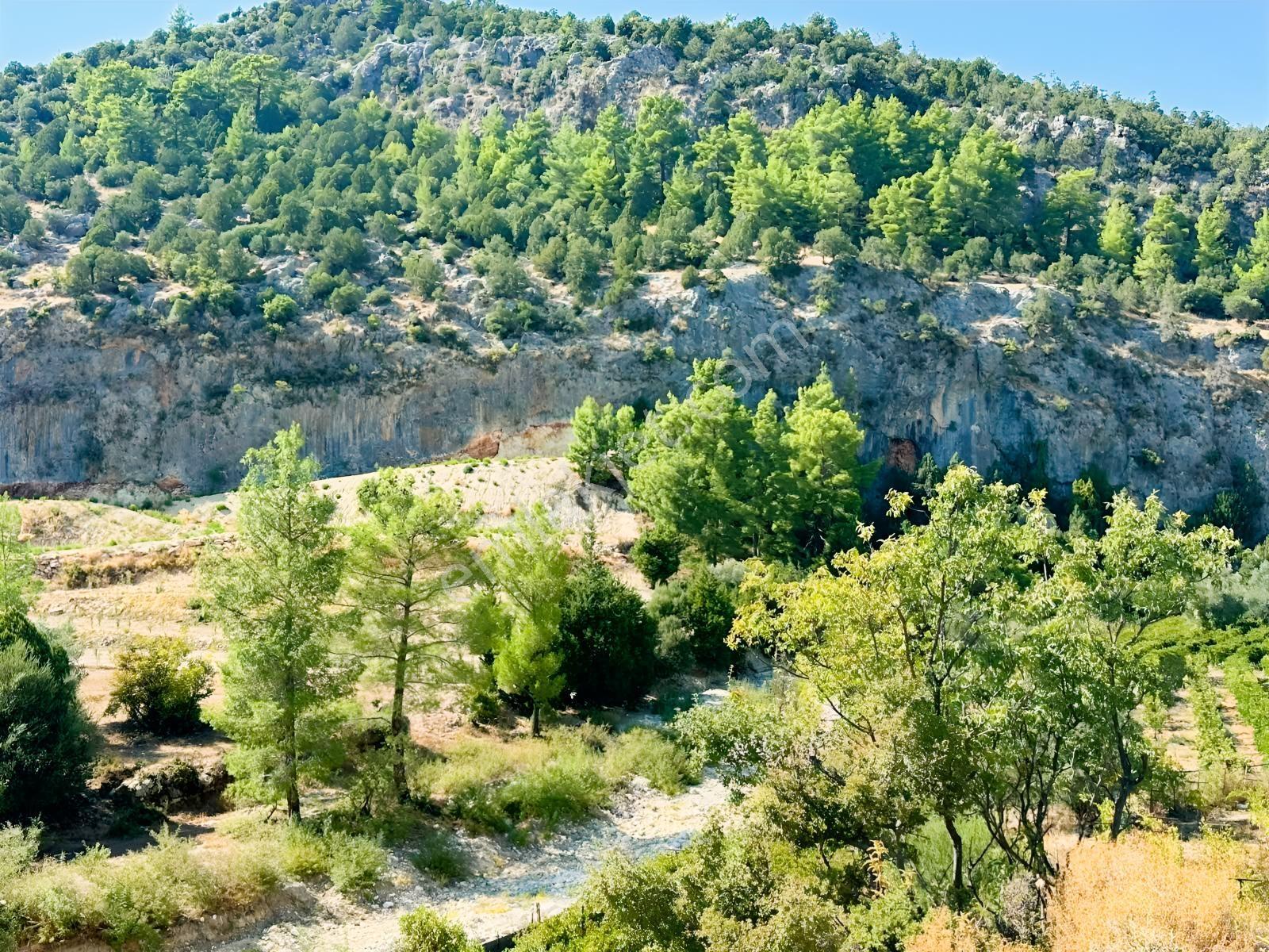 Antalya Manavgat Ahmetler Mahallesi Satılık Tek Tapu Tarla — fotoğraf 4