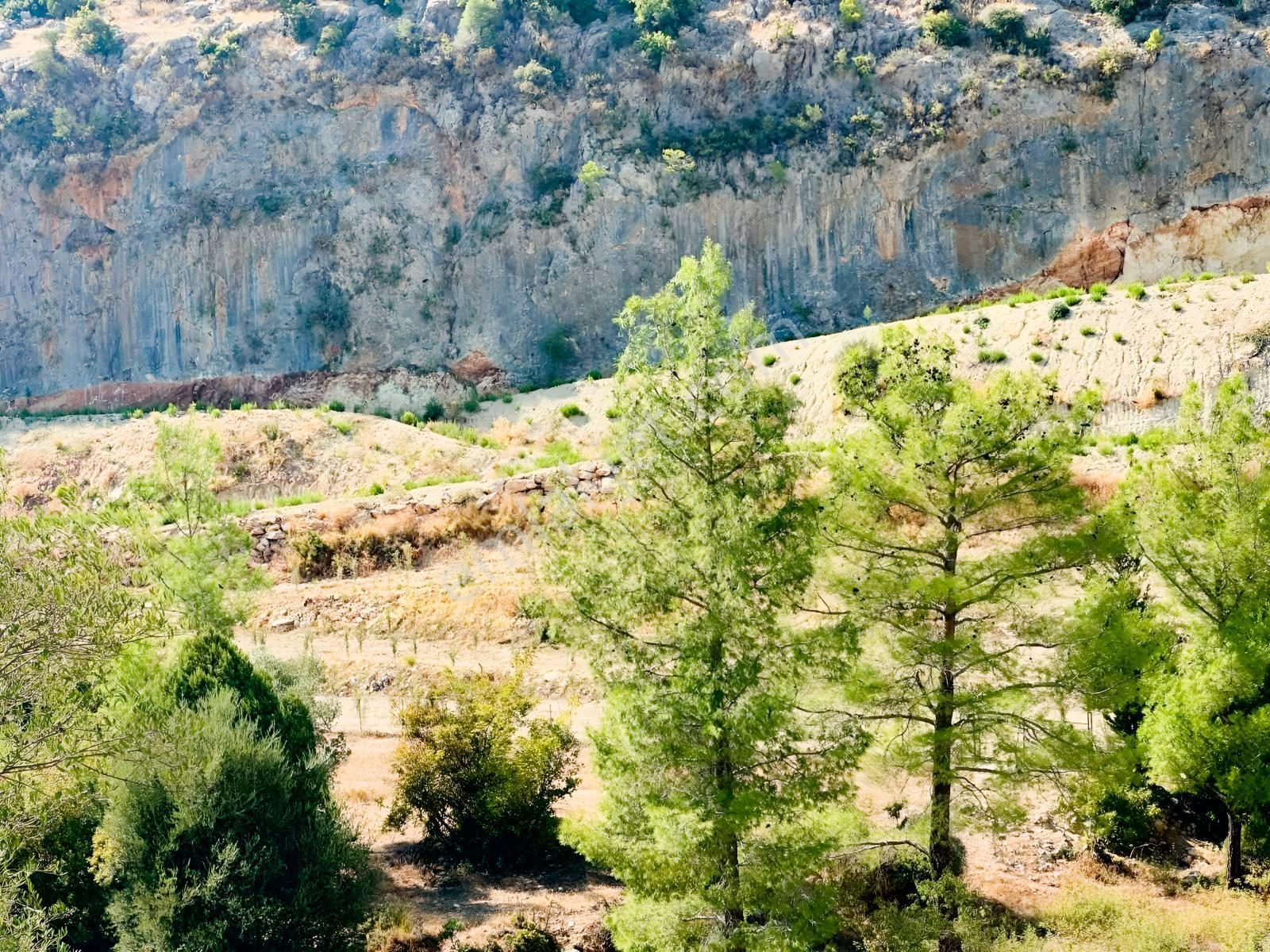 Antalya Manavgat Ahmetler Mahallesi Satılık Tek Tapu Tarla — fotoğraf 5