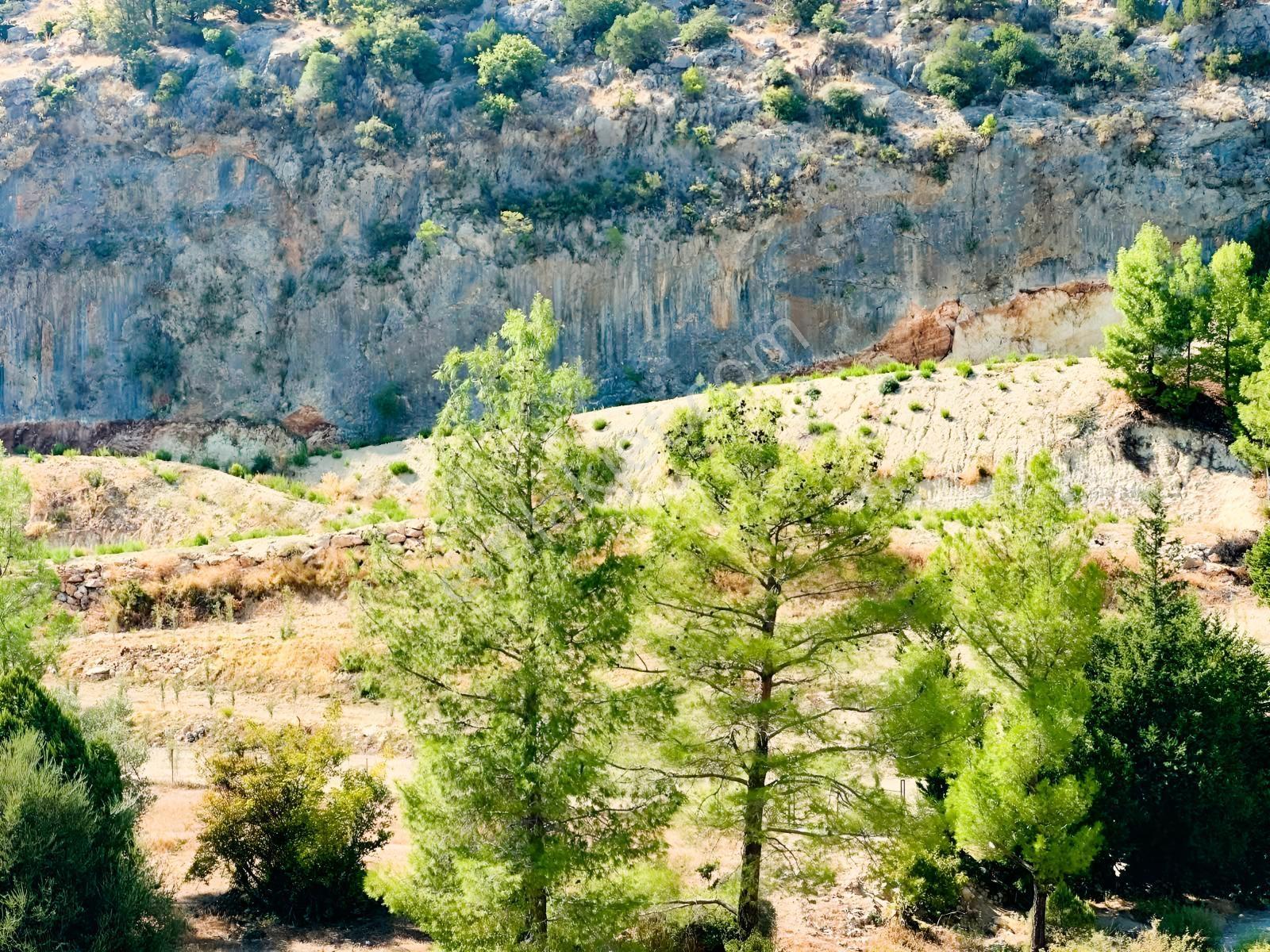 Antalya Manavgat Ahmetler Mahallesi Satılık Tek Tapu Tarla — fotoğraf 6