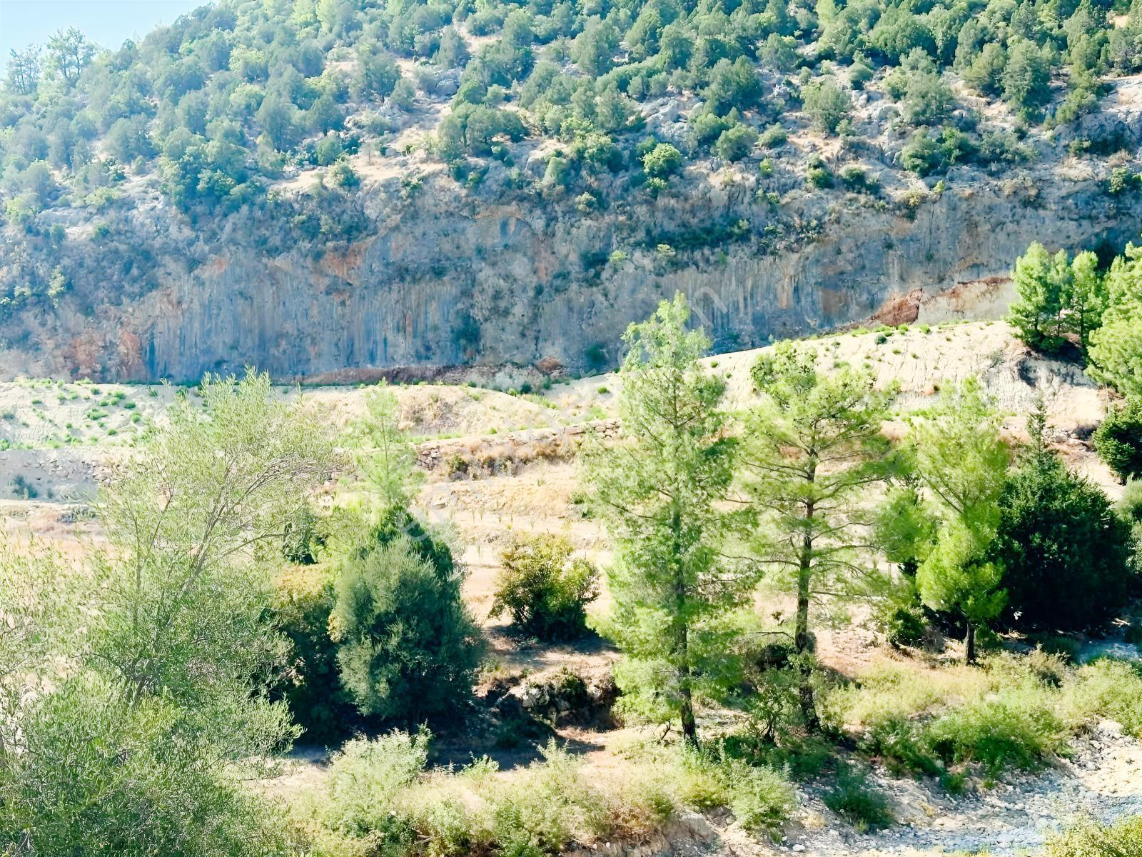 Antalya Manavgat Ahmetler Mahallesi Satılık Tek Tapu Tarla — fotoğraf 8