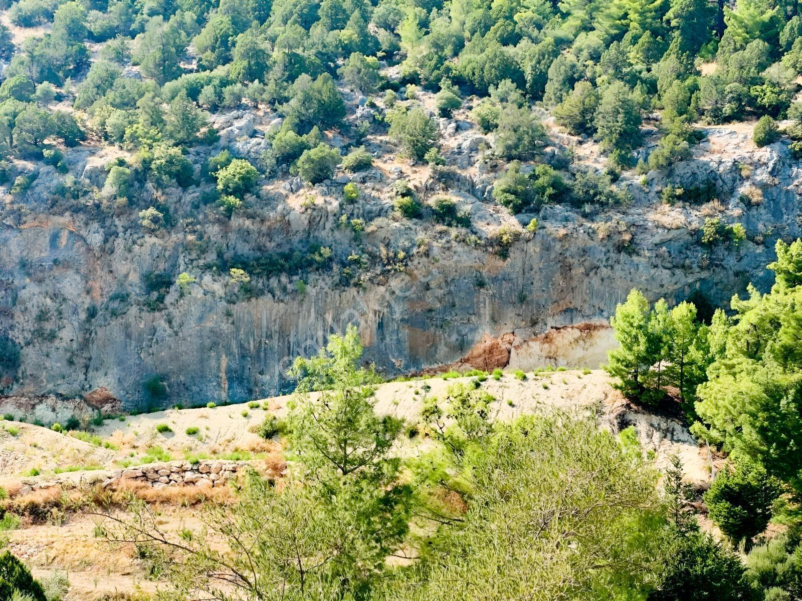 Antalya Manavgat Ahmetler Mahallesi Satılık Tek Tapu Tarla — fotoğraf 9