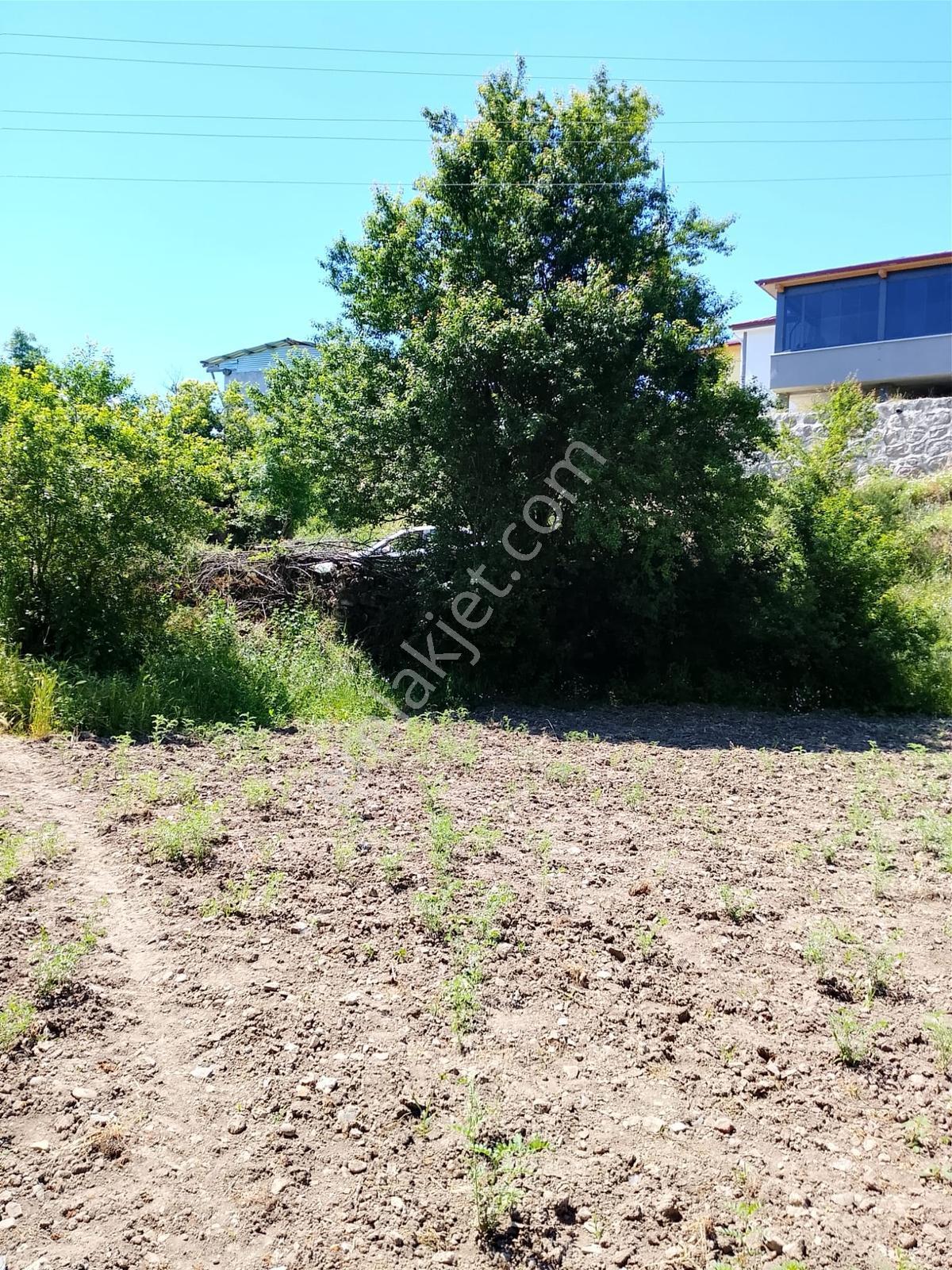 Can Emlaktan Havza Celil Mh'de Satılık Bahçe — fotoğraf 8