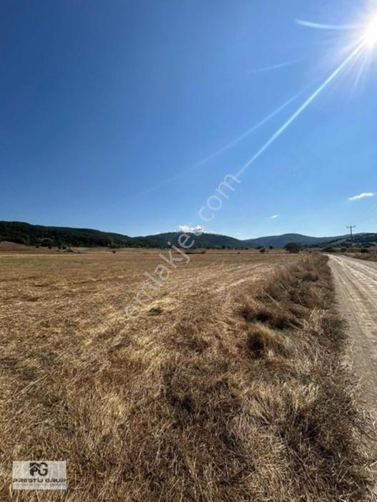Prestij Grup Tan Dağyenicede Efsane Fırsat Arazi — fotoğraf 4