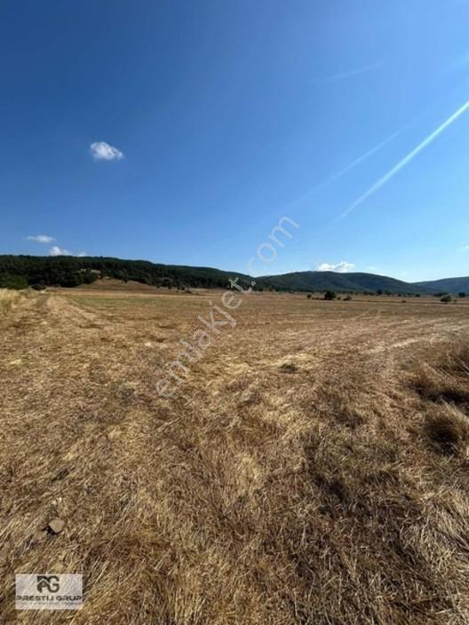 Prestij Grup Tan Dağyenicede Efsane Fırsat Arazi — fotoğraf 7