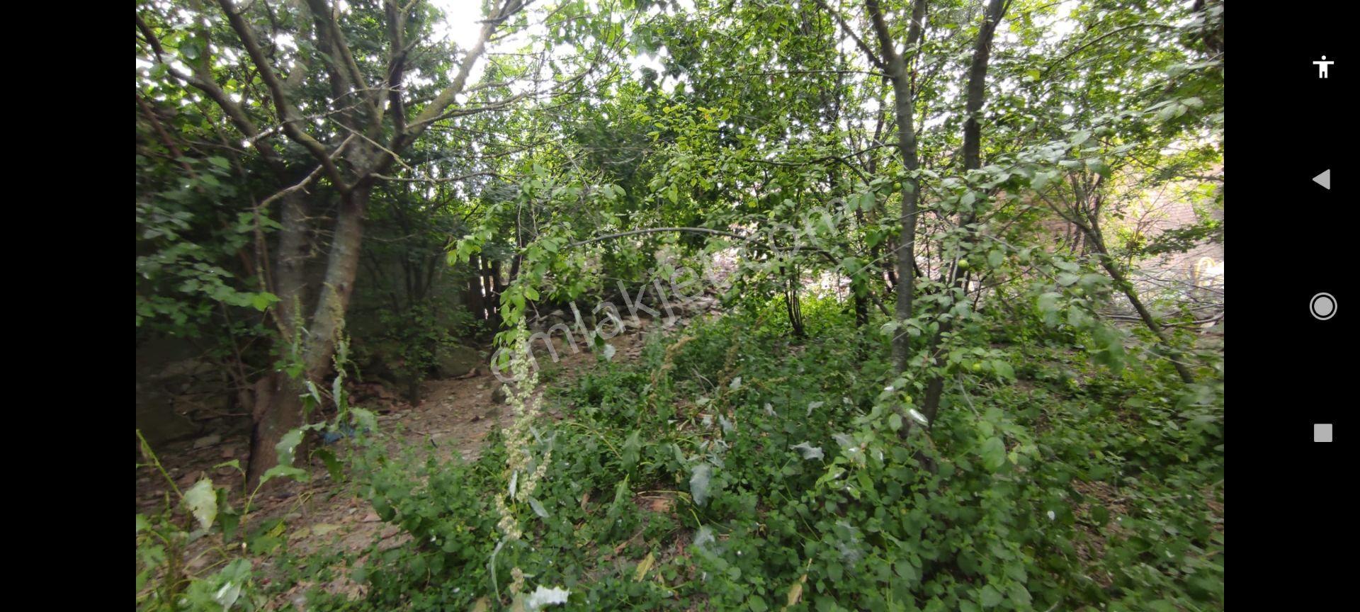 Tekirdağ, Süleymanpaşa,yukarı,kılıç Köyü,kadastral,yol, Elektrik,su, Tekirdağ'a,yakın,satılık,arsa — fotoğraf 5