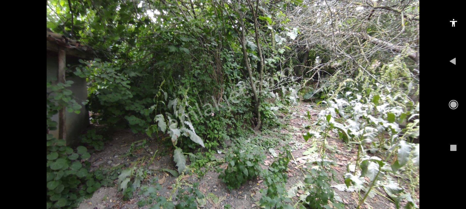 Tekirdağ, Süleymanpaşa,yukarı,kılıç Köyü,kadastral,yol, Elektrik,su, Tekirdağ'a,yakın,satılık,arsa — fotoğraf 8