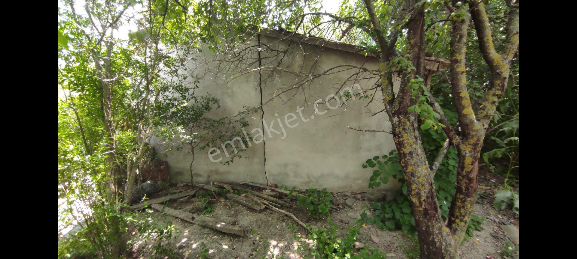 Tekirdağ, Süleymanpaşa,yukarı,kılıç Köyü,kadastral,yol, Elektrik,su, Tekirdağ'a,yakın,satılık,arsa — fotoğraf 13
