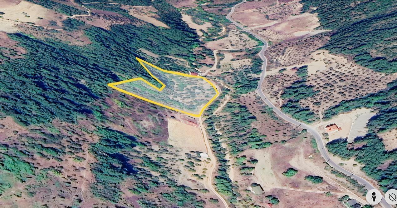 Seda Terzioğlundan Geyvede Satılık Bağ Evi Ve Arsası 9.946 M2