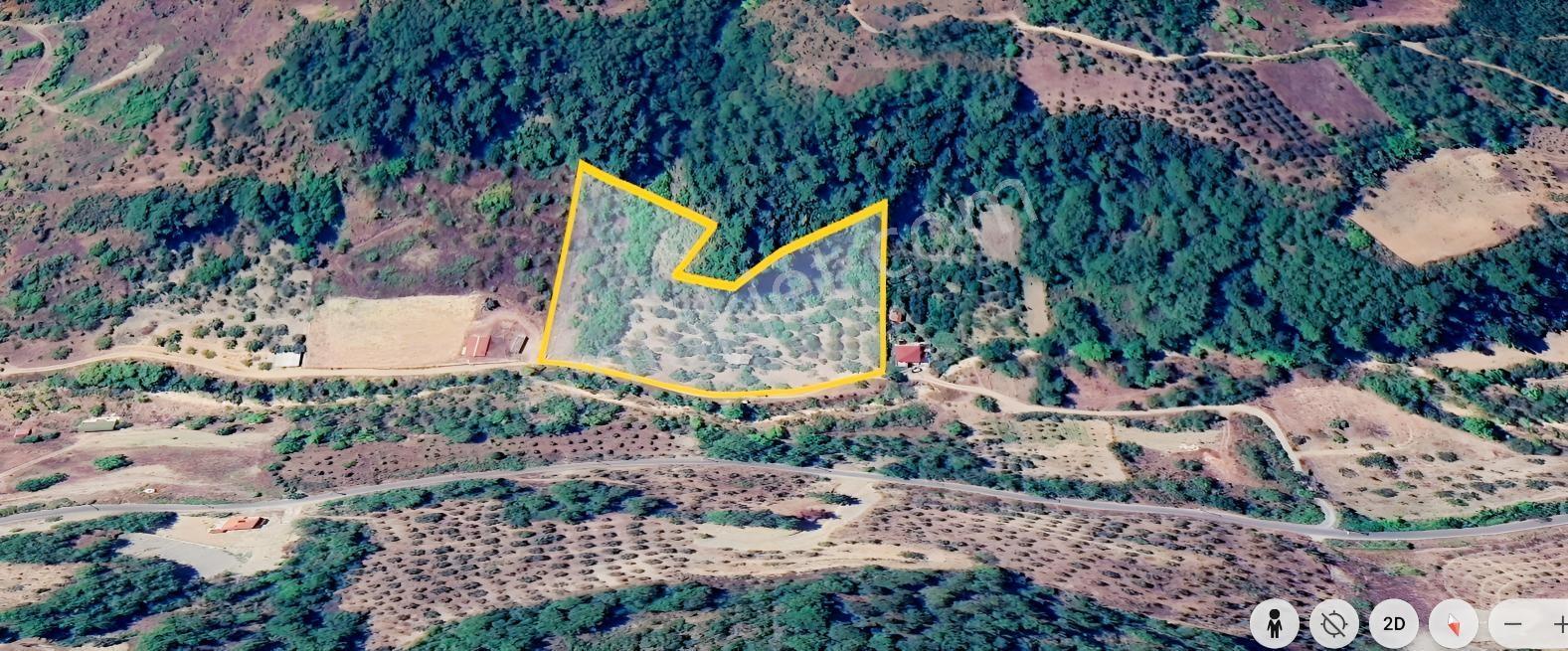 Seda Terzioğlundan Geyvede Satılık Bağ Evi Ve Arsası 9.946 M2 — fotoğraf 3
