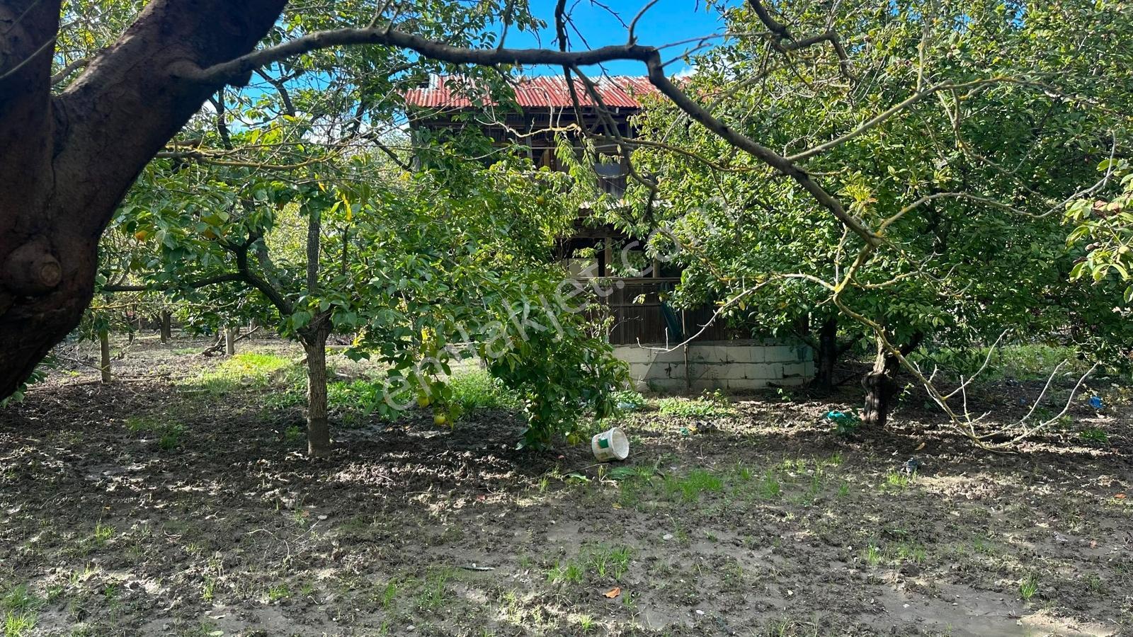 Seda Terzioğlundan Geyvede Satılık Bağ Evi Ve Arsası 9.946 M2 — fotoğraf 4