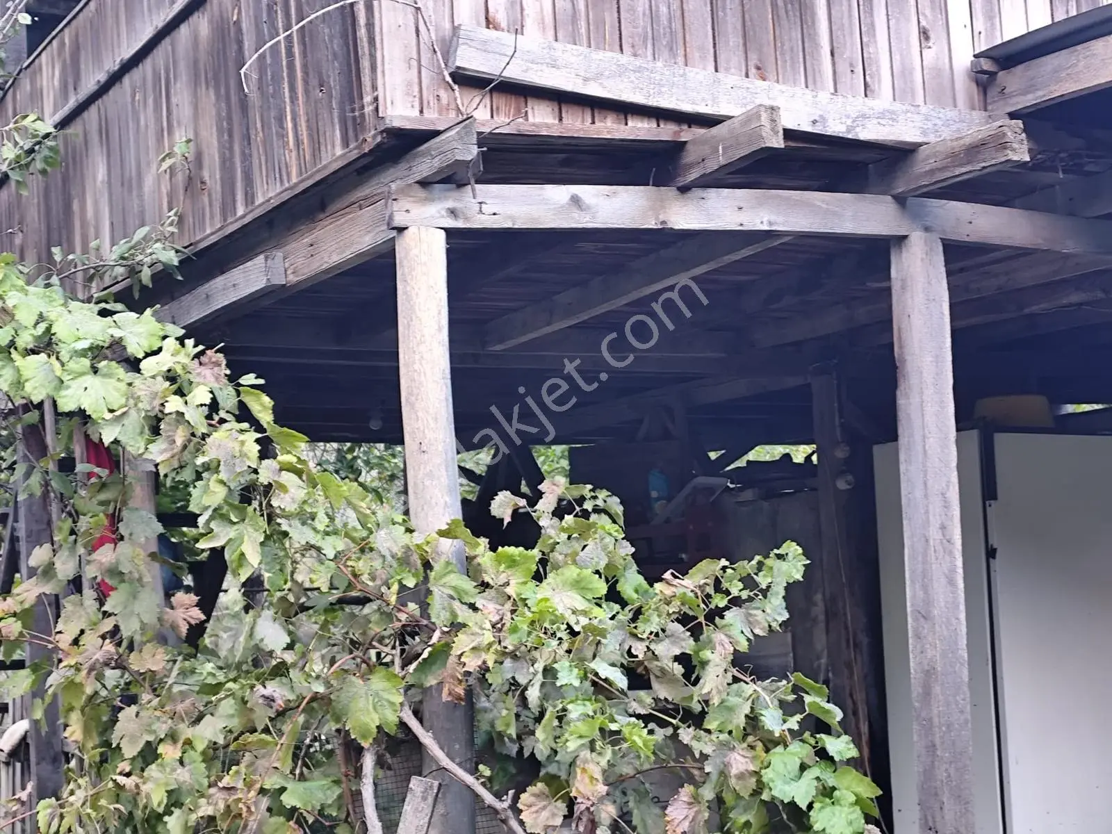 Seda Terzioğlundan Geyvede Satılık Bağ Evi Ve Arsası 9.946 M2 — fotoğraf 7