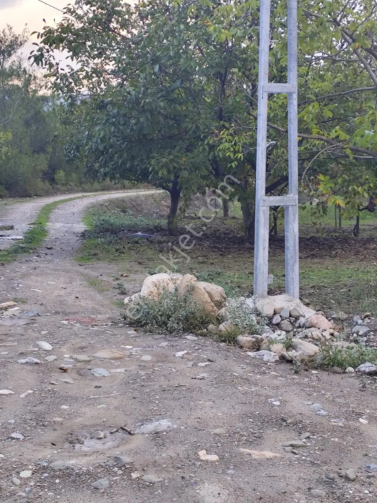 Seda Terzioğlundan Geyvede Satılık Bağ Evi Ve Arsası 9.946 M2 — fotoğraf 10