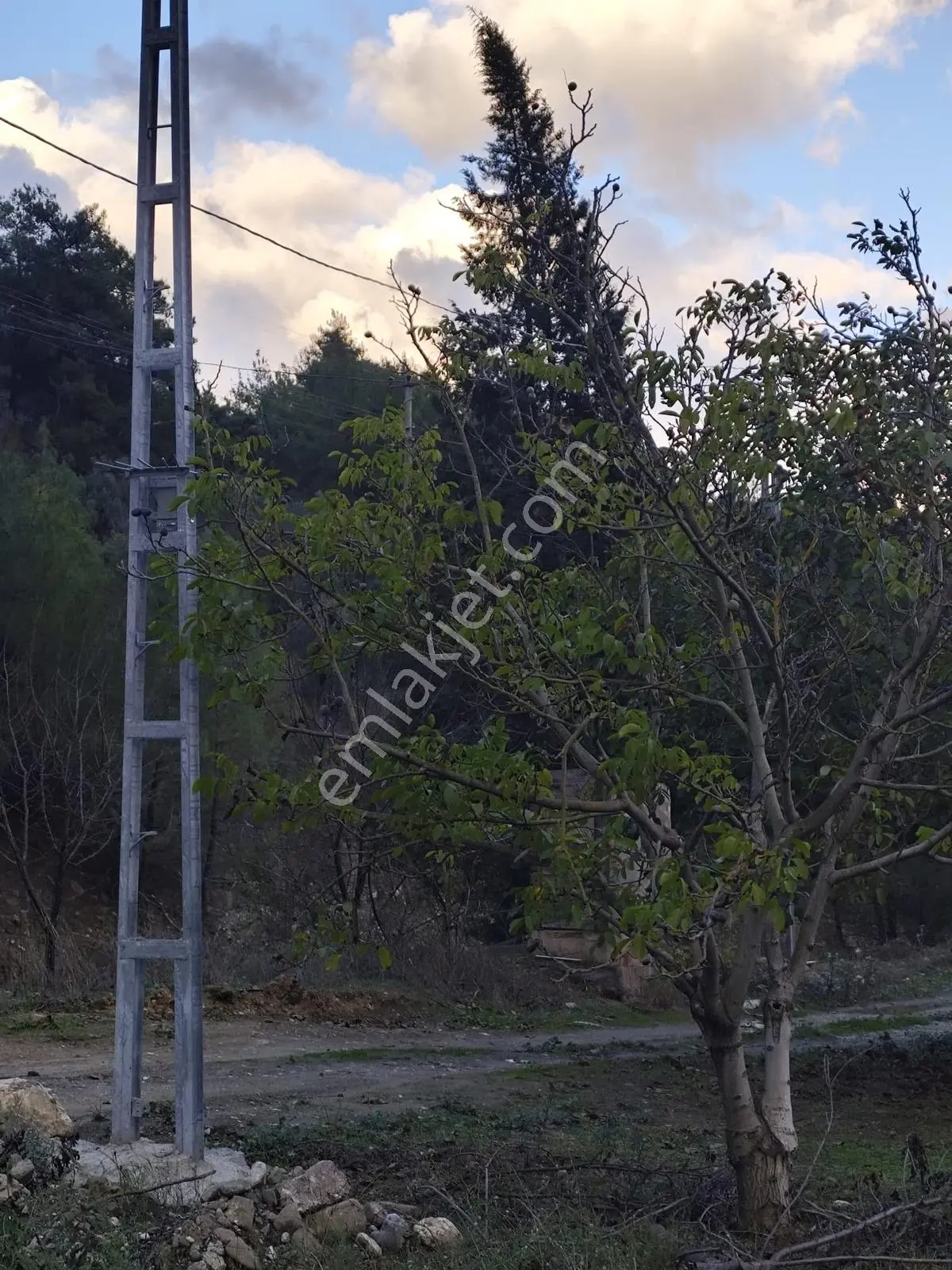Seda Terzioğlundan Geyvede Satılık Bağ Evi Ve Arsası 9.946 M2 — fotoğraf 12