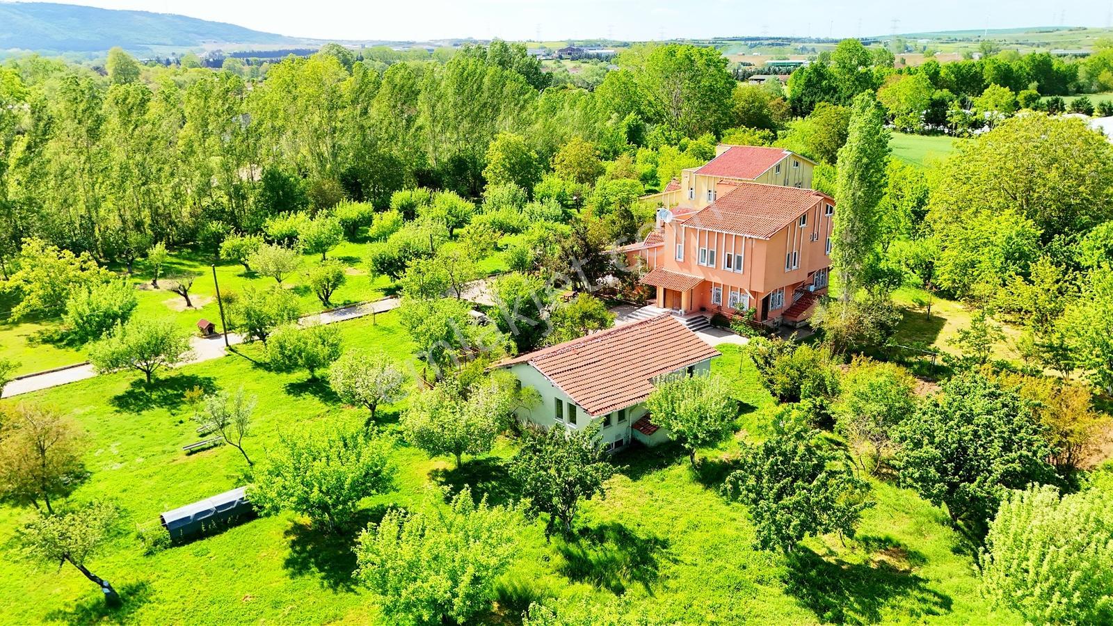 Çatalca Kaleiçi'nde 16.837 M² Elma Bahçesi İçinde 4 Müstakil Ev — fotoğraf 3