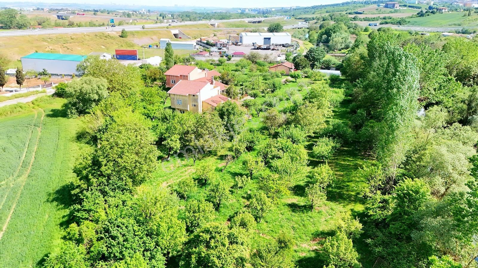 Çatalca Kaleiçi'nde 16.837 M² Elma Bahçesi İçinde 4 Müstakil Ev — fotoğraf 7