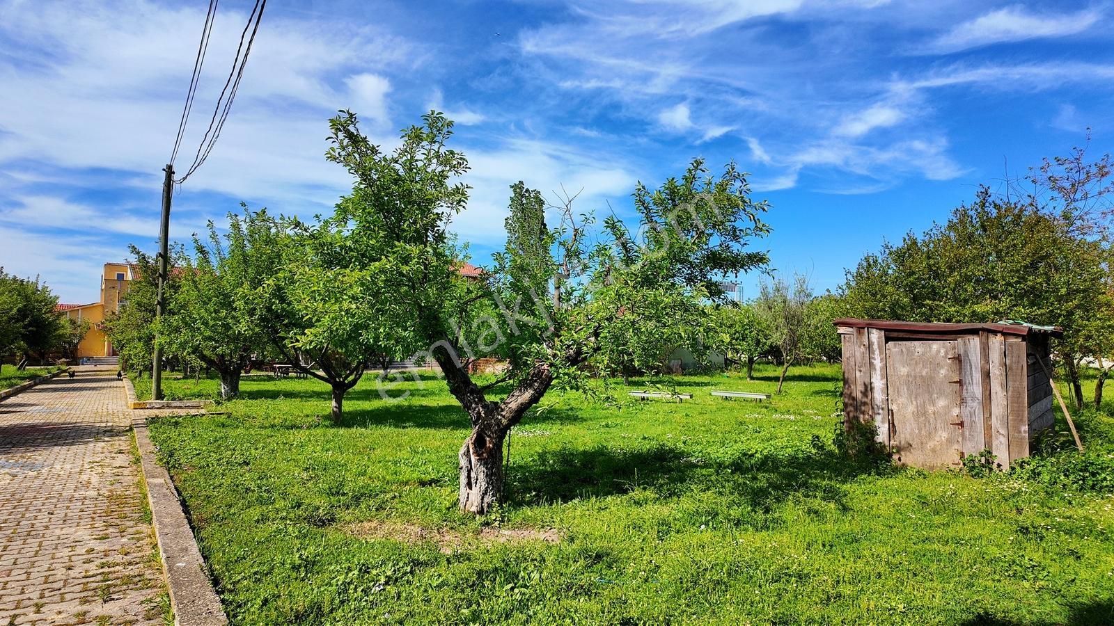 Çatalca Kaleiçi'nde 16.837 M² Elma Bahçesi İçinde 4 Müstakil Ev — fotoğraf 12