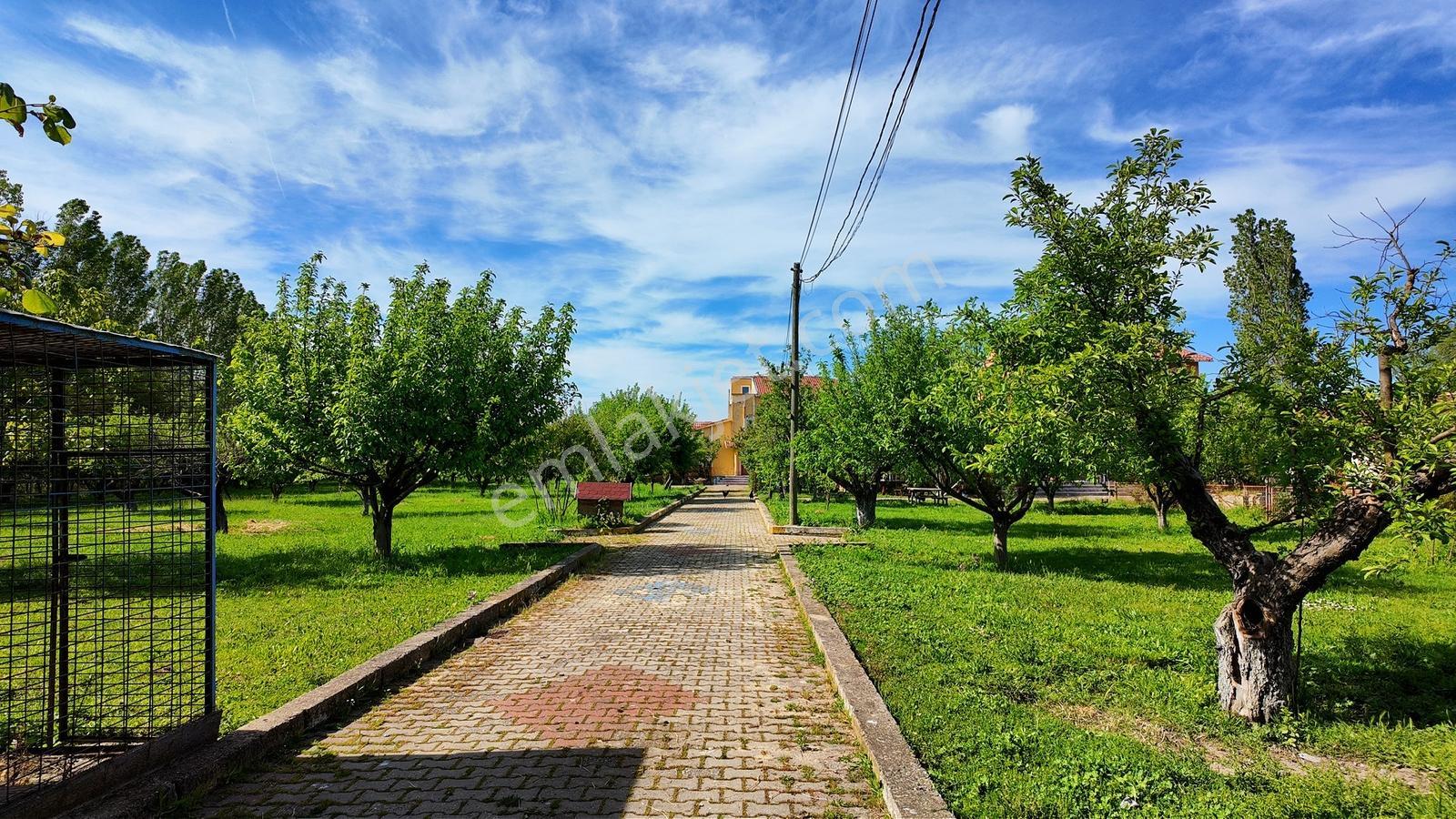 Çatalca Kaleiçi'nde 16.837 M² Elma Bahçesi İçinde 4 Müstakil Ev — fotoğraf 13
