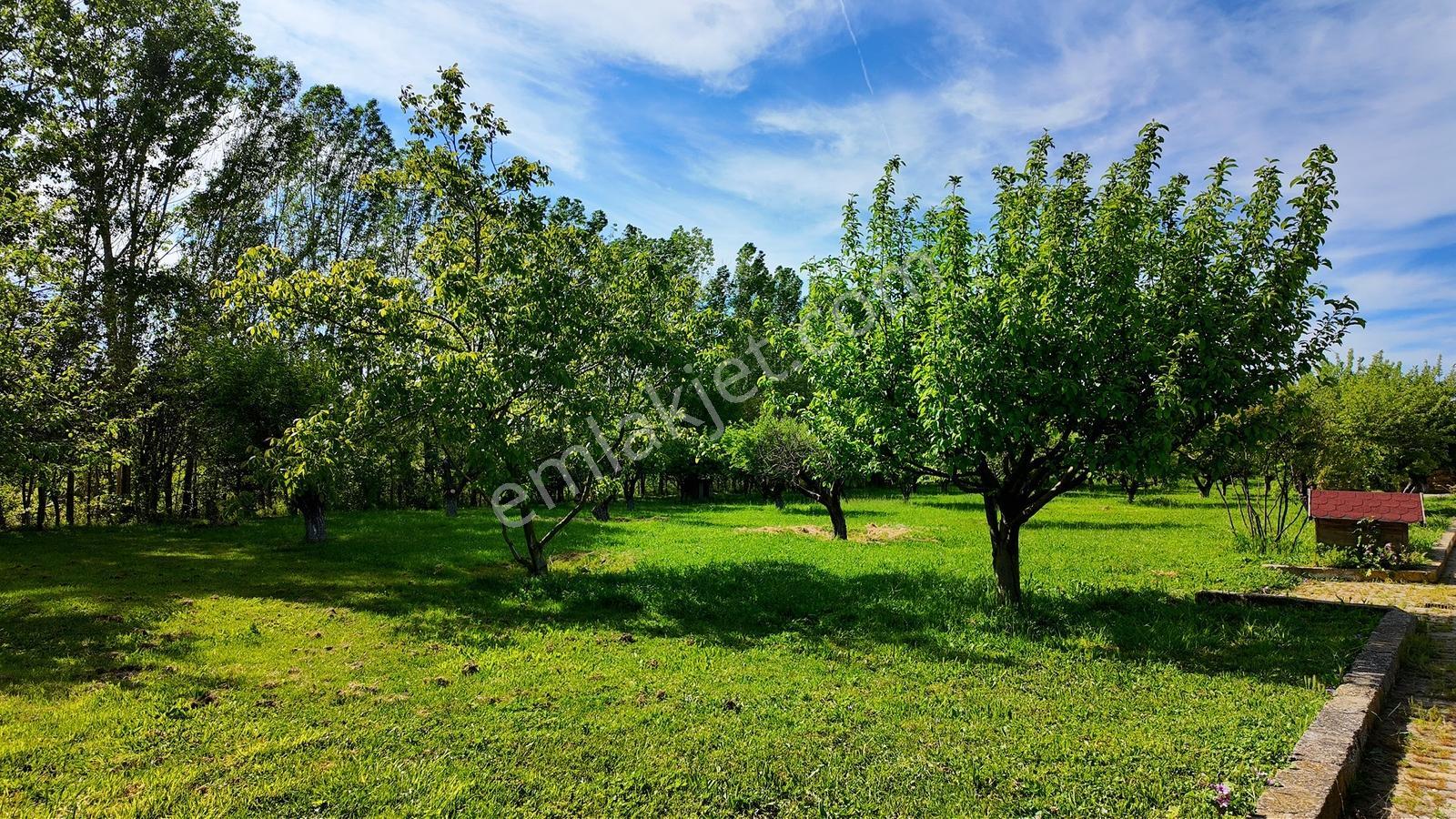 Çatalca Kaleiçi'nde 16.837 M² Elma Bahçesi İçinde 4 Müstakil Ev — fotoğraf 14