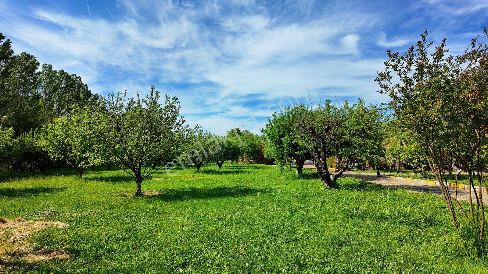 Çatalca Kaleiçi'nde 16.837 M² Elma Bahçesi İçinde 4 Müstakil Ev — fotoğraf 15