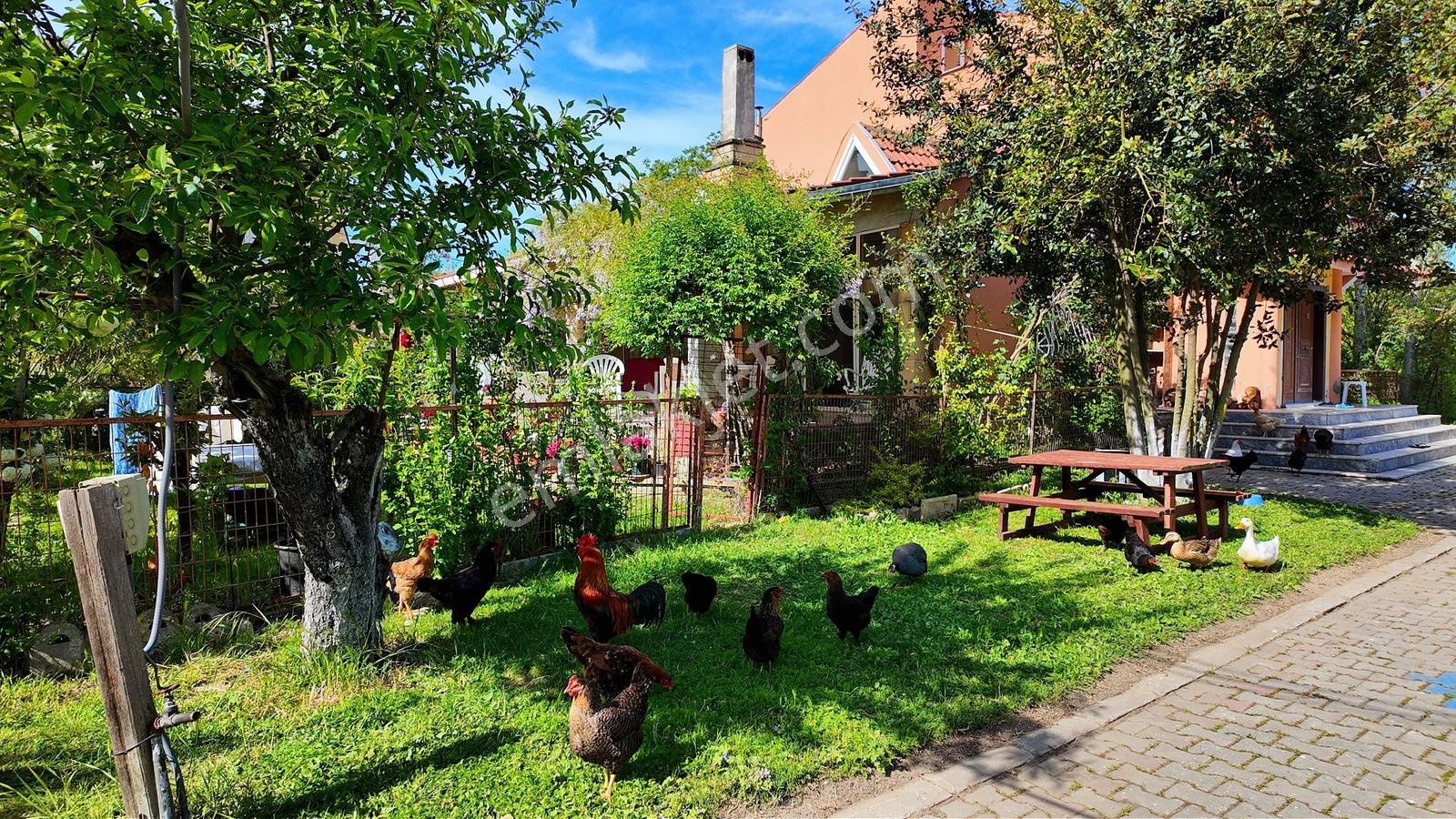 Çatalca Kaleiçi'nde 16.837 M² Elma Bahçesi İçinde 4 Müstakil Ev — fotoğraf 16