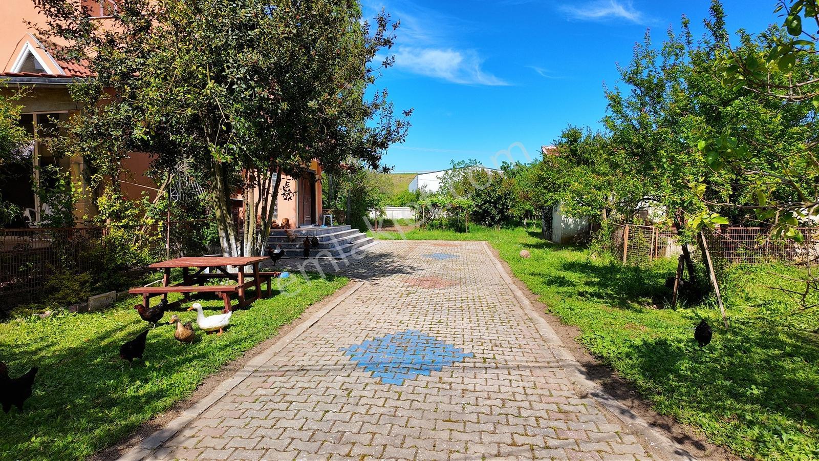 Çatalca Kaleiçi'nde 16.837 M² Elma Bahçesi İçinde 4 Müstakil Ev — fotoğraf 17