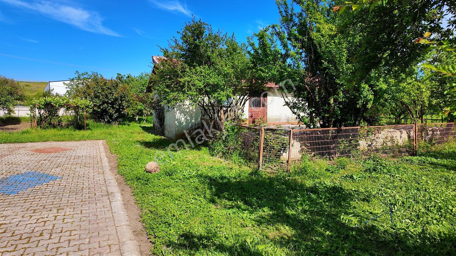 Çatalca Kaleiçi'nde 16.837 M² Elma Bahçesi İçinde 4 Müstakil Ev — fotoğraf 18