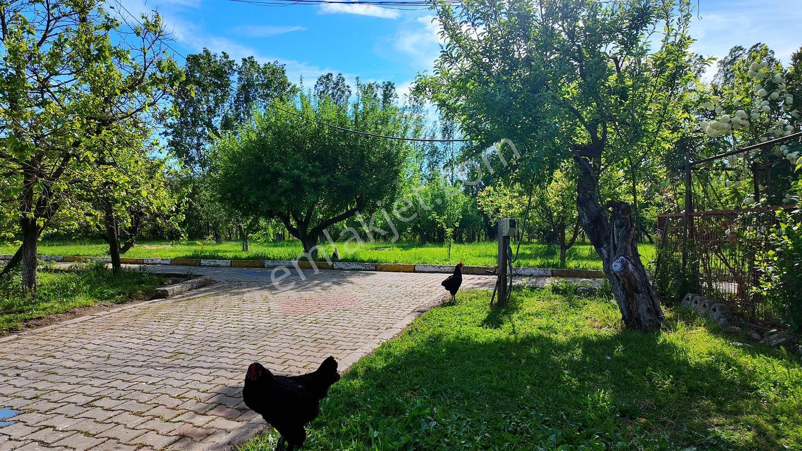 Çatalca Kaleiçi'nde 16.837 M² Elma Bahçesi İçinde 4 Müstakil Ev — fotoğraf 19
