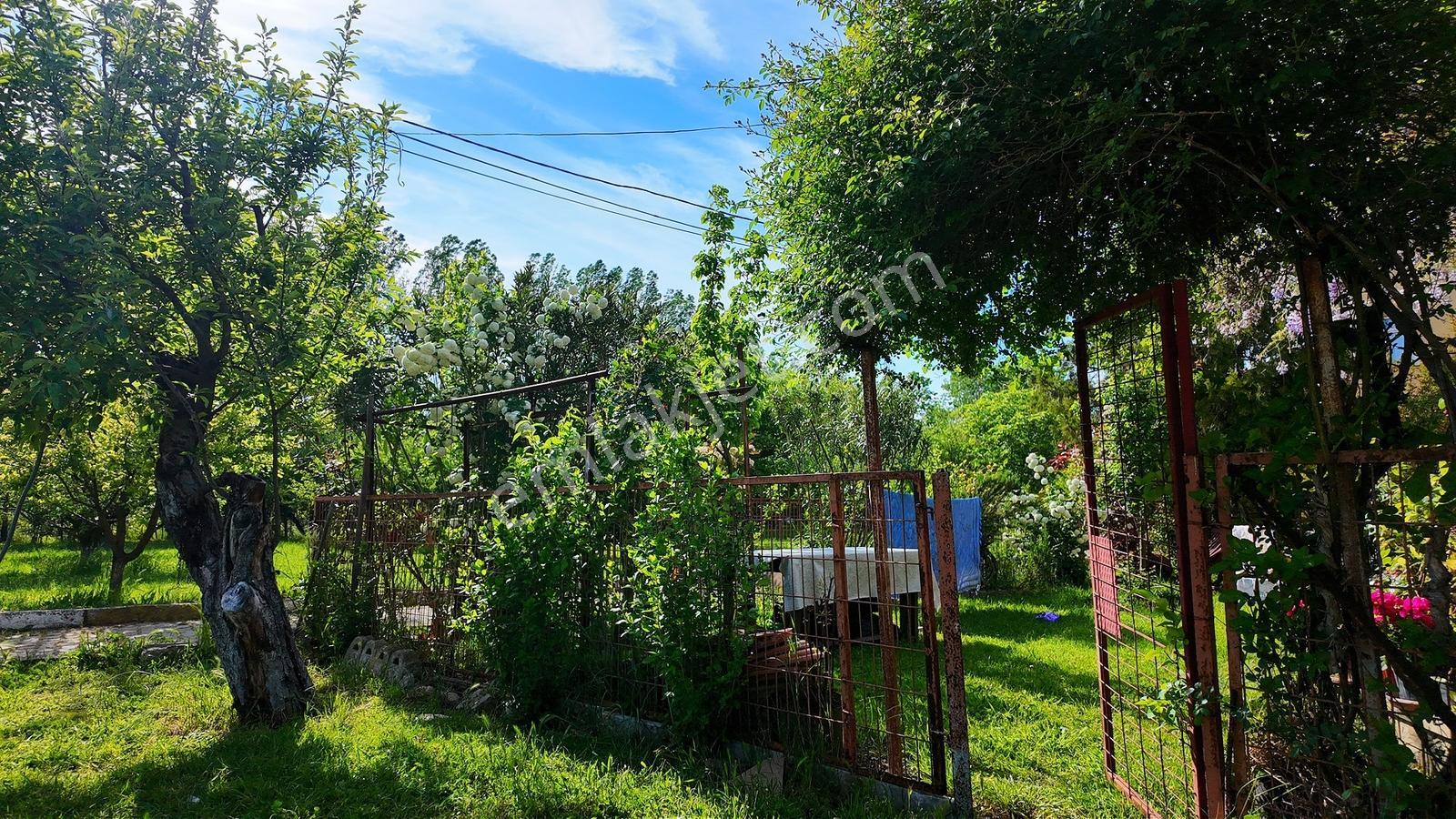 Çatalca Kaleiçi'nde 16.837 M² Elma Bahçesi İçinde 4 Müstakil Ev — fotoğraf 20