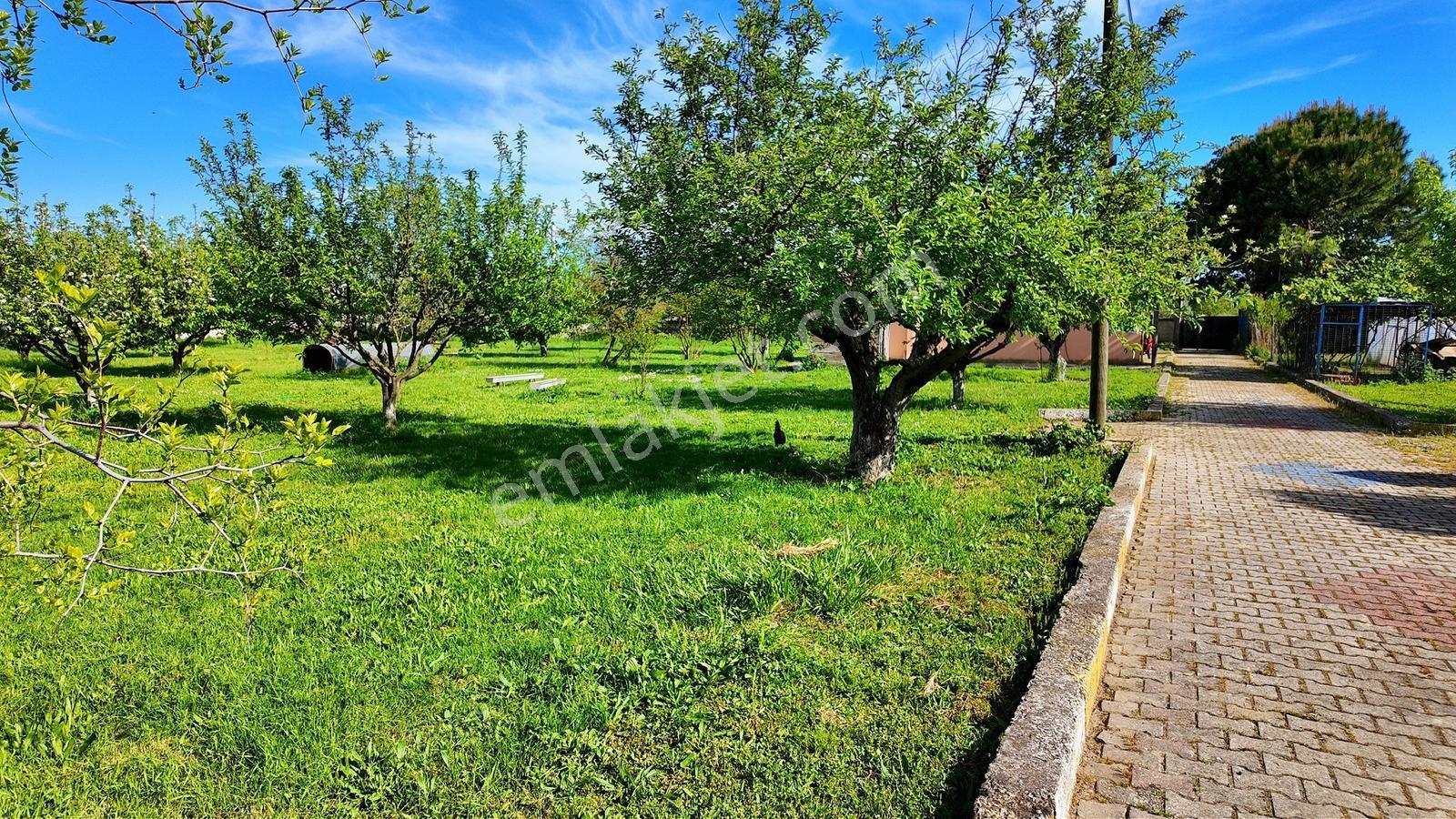 Çatalca Kaleiçi'nde 16.837 M² Elma Bahçesi İçinde 4 Müstakil Ev — fotoğraf 32