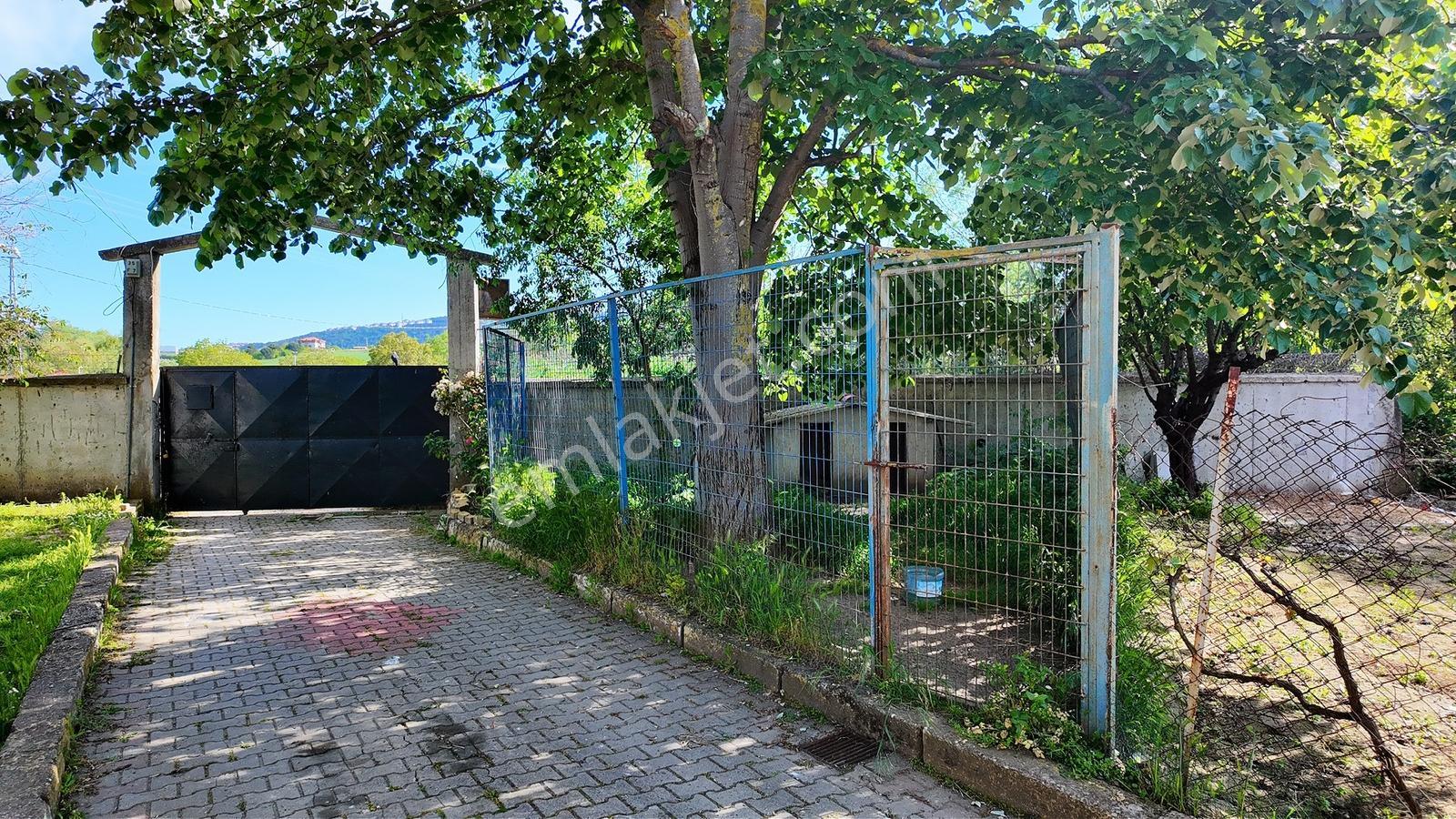 Çatalca Kaleiçi'nde 16.837 M² Elma Bahçesi İçinde 4 Müstakil Ev — fotoğraf 33