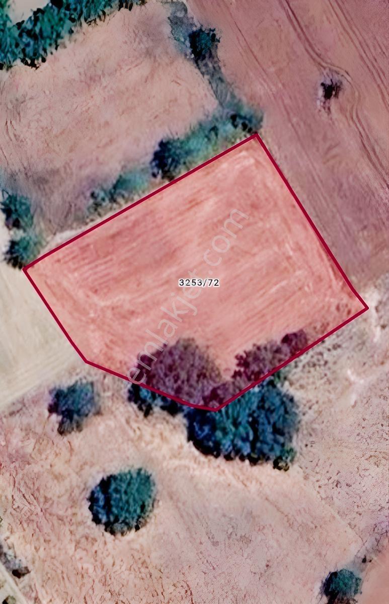 Nilüfer Demirci'de 2.808 M² Müstakil Tapulu Satılık Tarla — fotoğraf 5