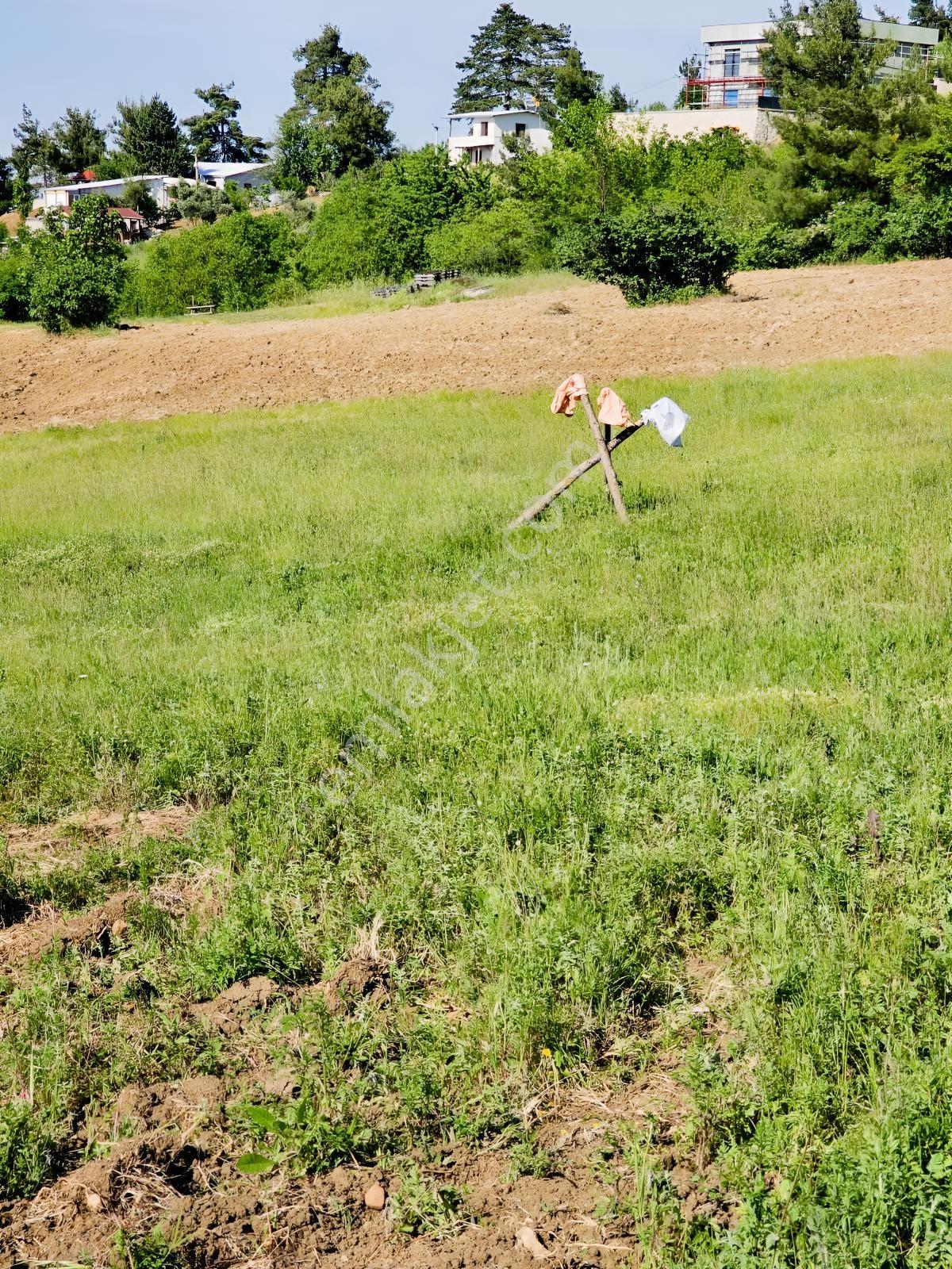 Dağyenice De Anayola Ve İmara Yakın Arazi Fırsatı — fotoğraf 10