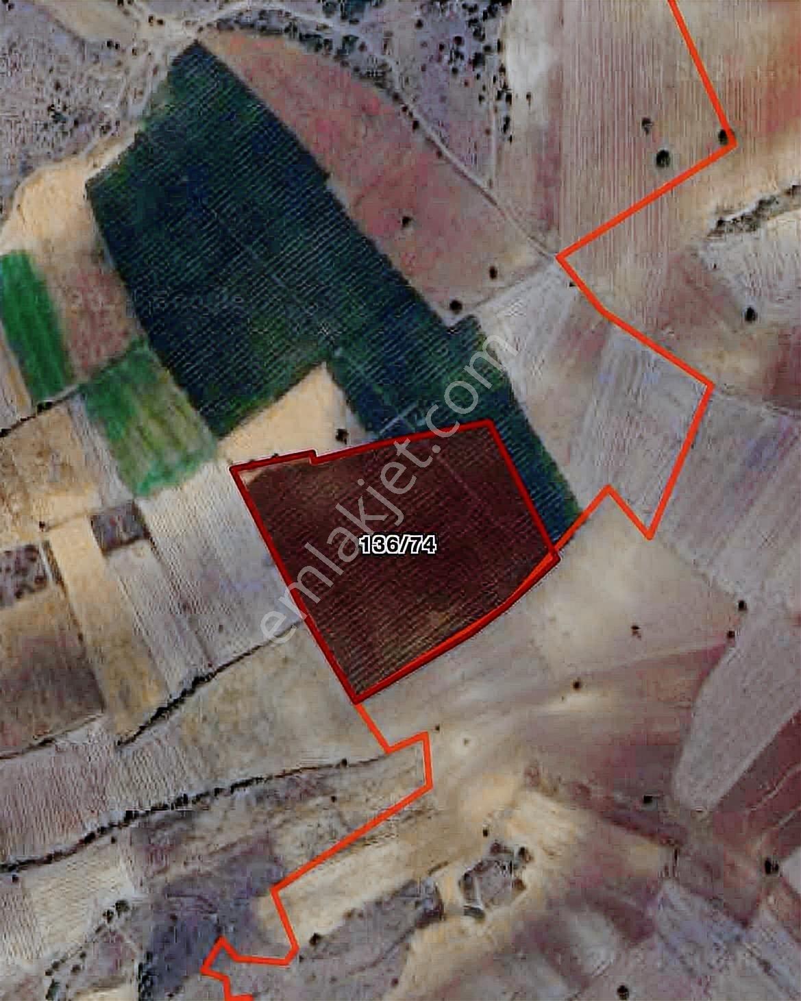 Bm Real Estate Yenişehir'de 41.500 M² Satılık Tek Tapu Tarla