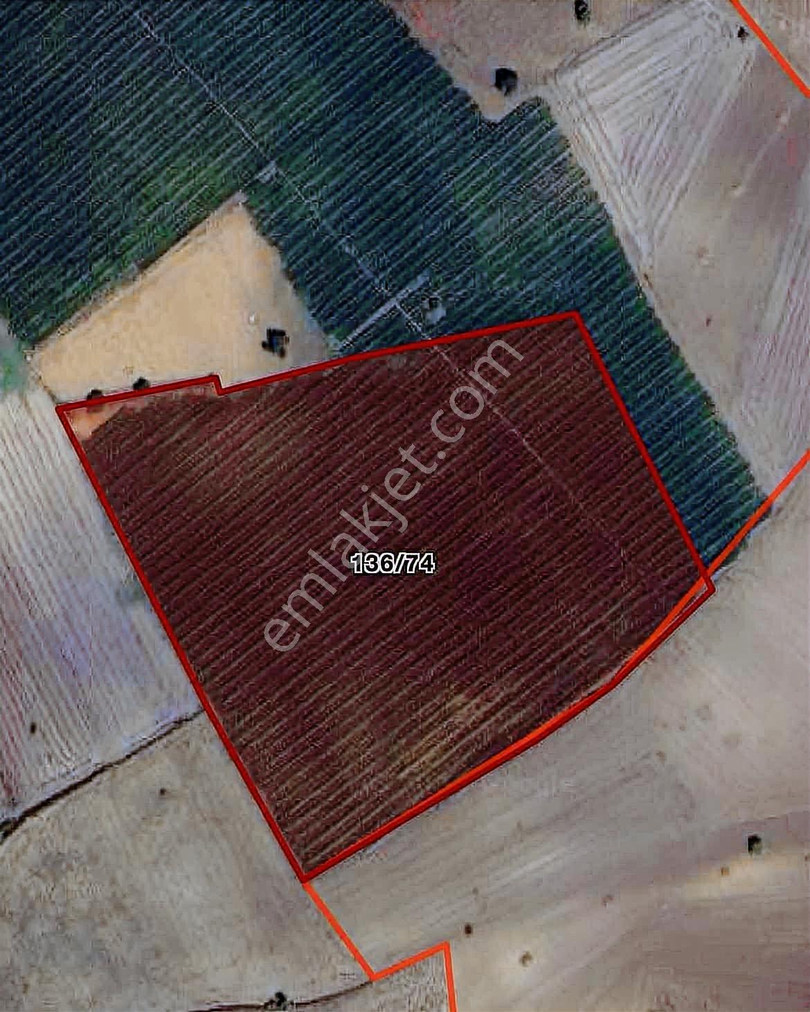 Bm Real Estate Yenişehir'de 41.500 M² Satılık Tek Tapu Tarla — fotoğraf 2