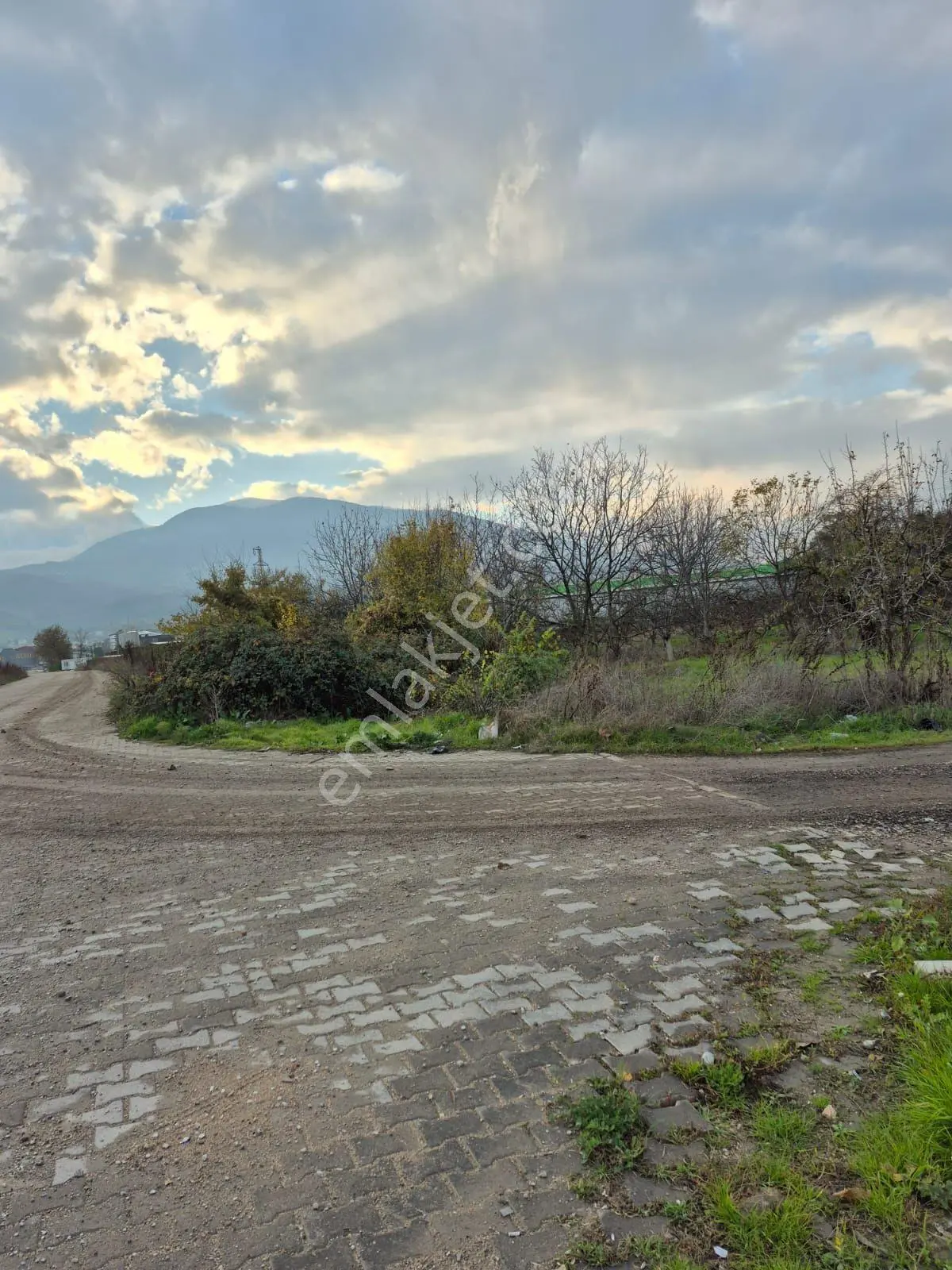 İnegöl Yeniceköy'De Sanayi İmarına Yakın Konumda Satılık 5000 M² Yola Cephe Tarl...