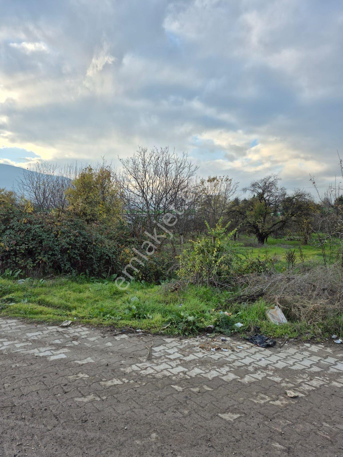 İnegöl Yeniceköy'de Sanayi İmarına Yakın Konumda Satılık 5000 M² Yola Cephe Tarla — fotoğraf 2