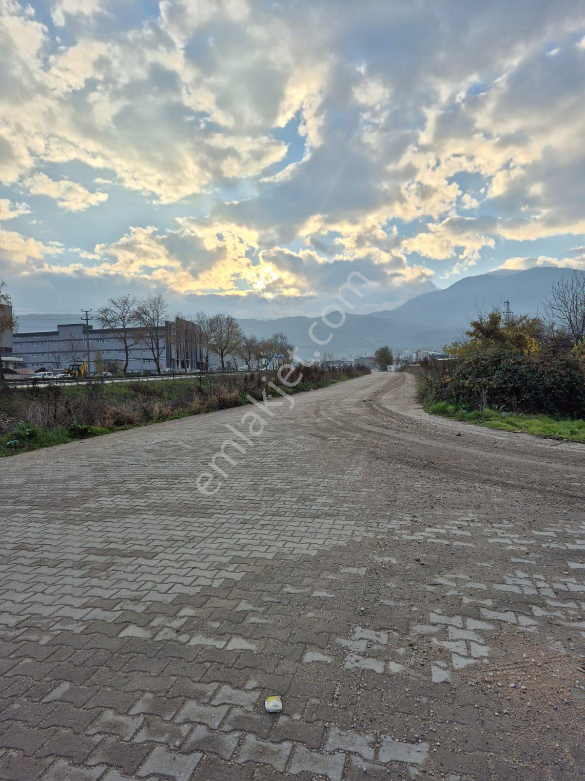 İnegöl Yeniceköy'de Sanayi İmarına Yakın Konumda Satılık 5000 M² Yola Cephe Tarla — fotoğraf 3