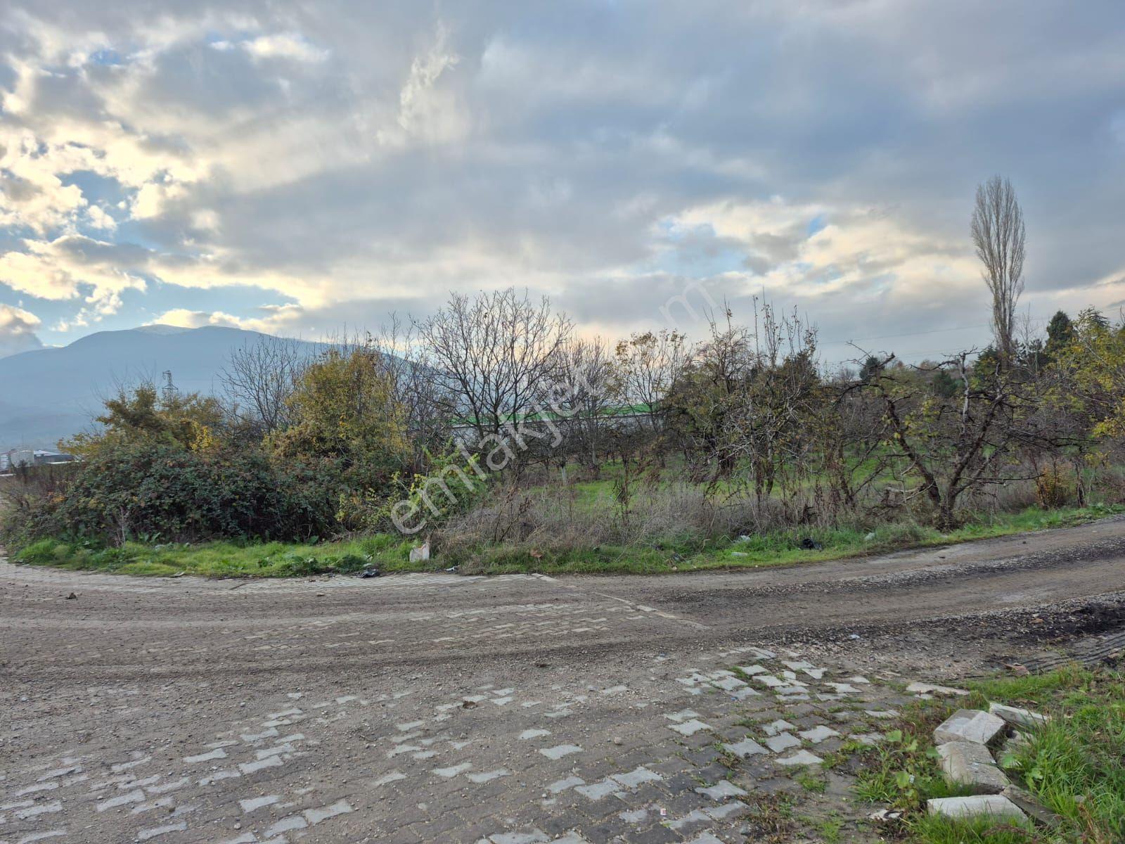 İnegöl Yeniceköy'de Sanayi İmarına Yakın Konumda Satılık 5000 M² Yola Cephe Tarla — fotoğraf 4