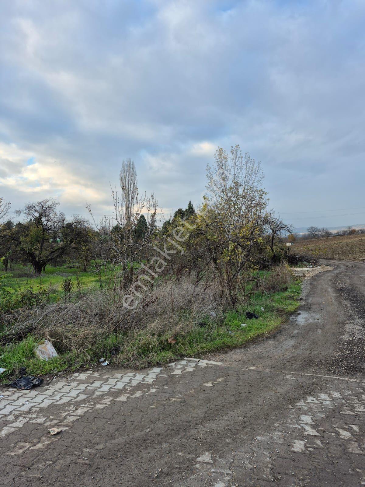 İnegöl Yeniceköy'de Sanayi İmarına Yakın Konumda Satılık 5000 M² Yola Cephe Tarla — fotoğraf 5